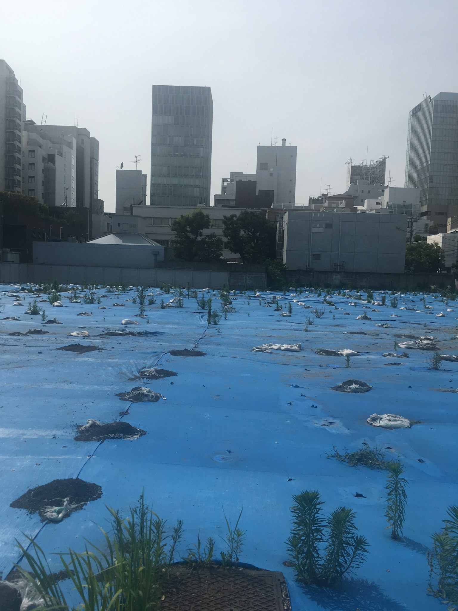 Lanskap perkotaan dengan terpal biru dan bercak rumput