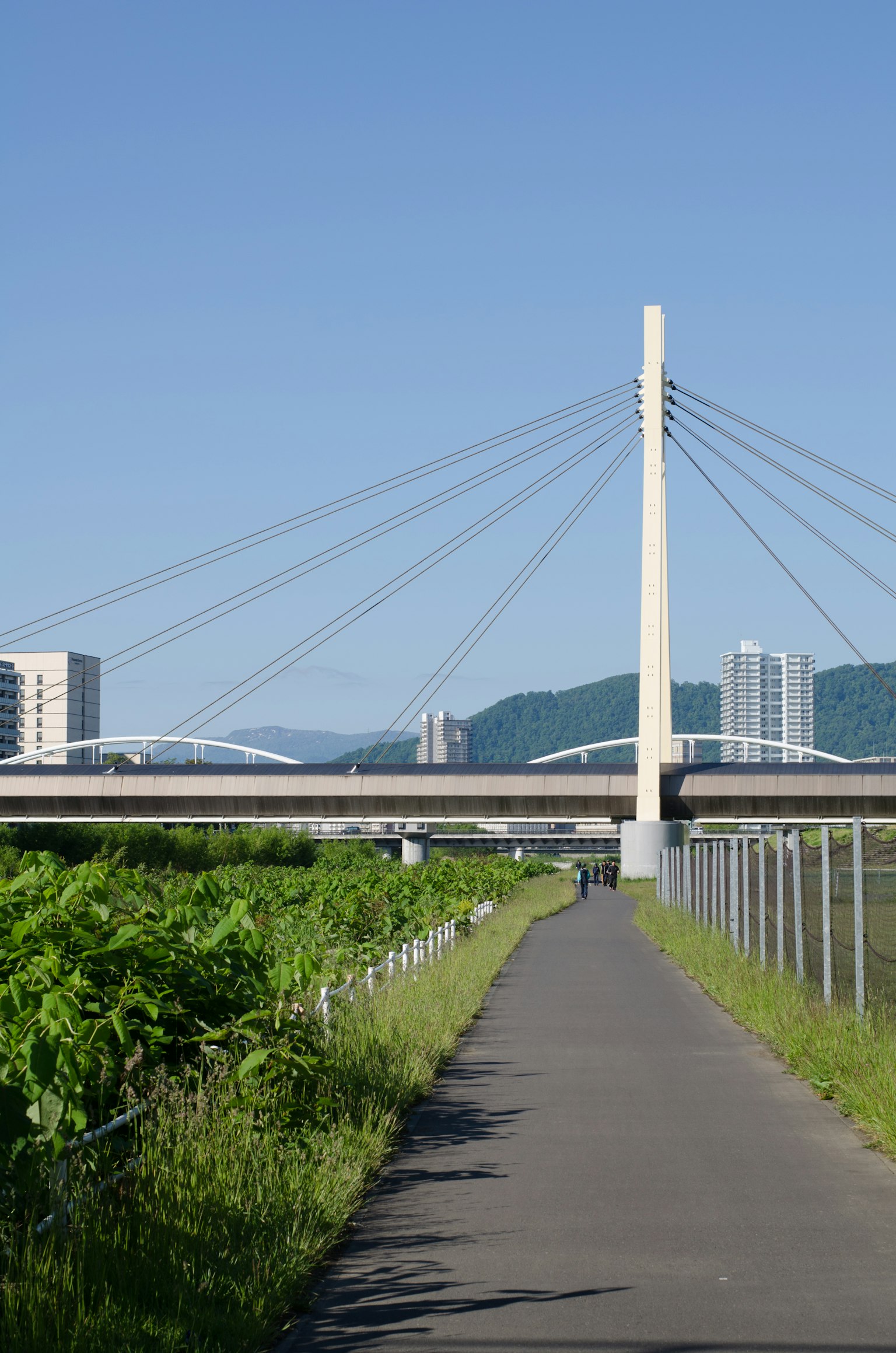 Moderner Schrägseilbrücke unter blauem Himmel mit grünem Weg in der Nähe