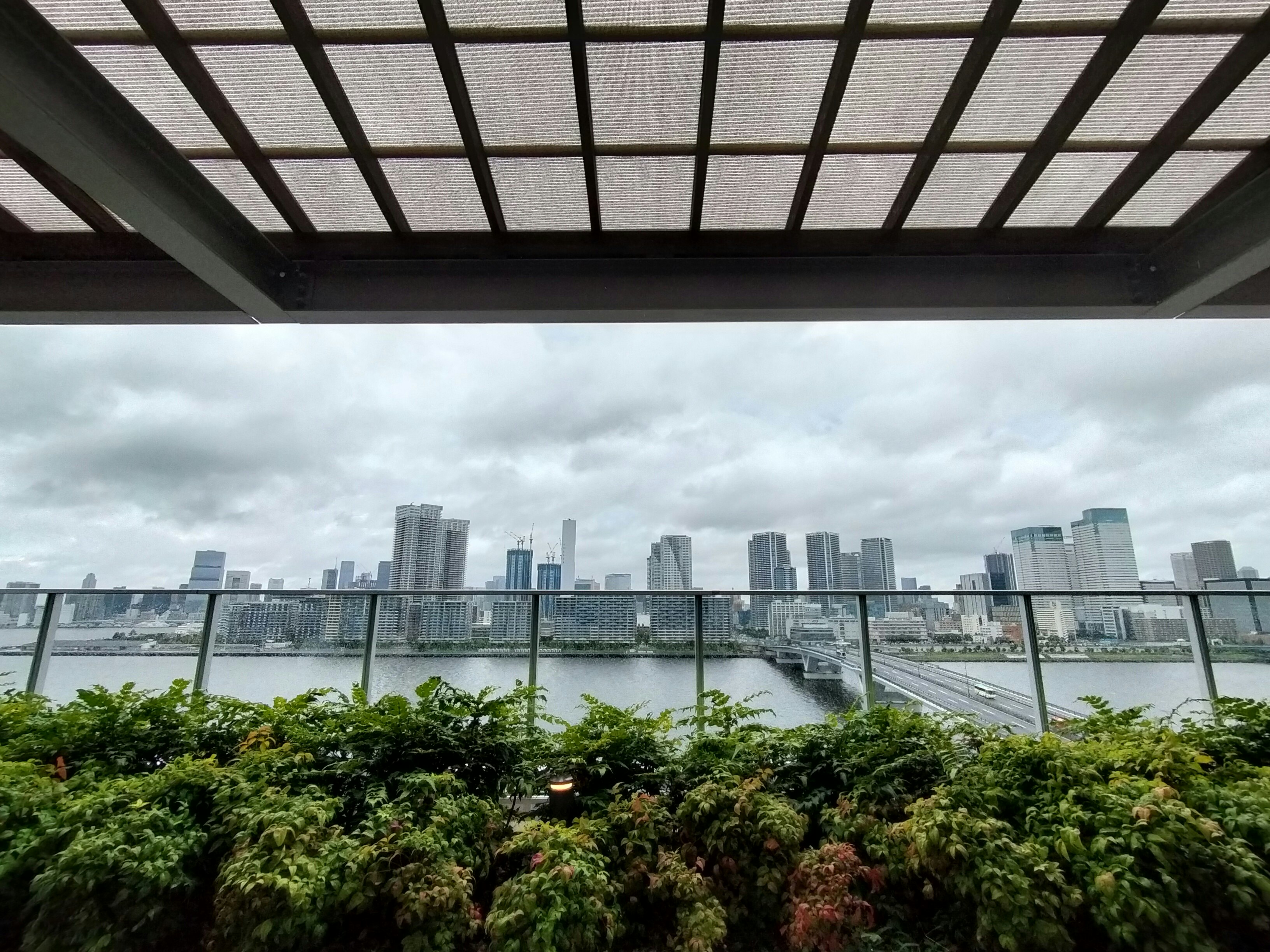屋上の緑の植栽越しに広がる川と高層ビル群