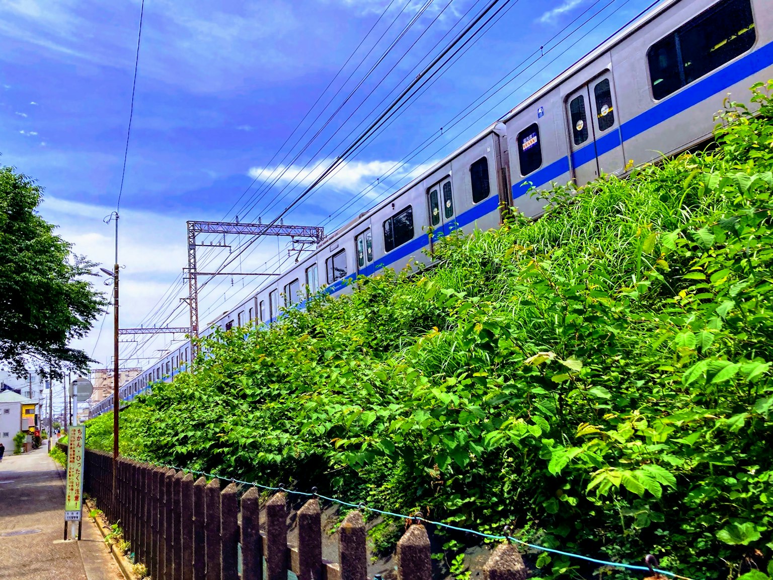 Treno che viaggia su una collina coperta di vegetazione sotto un cielo blu