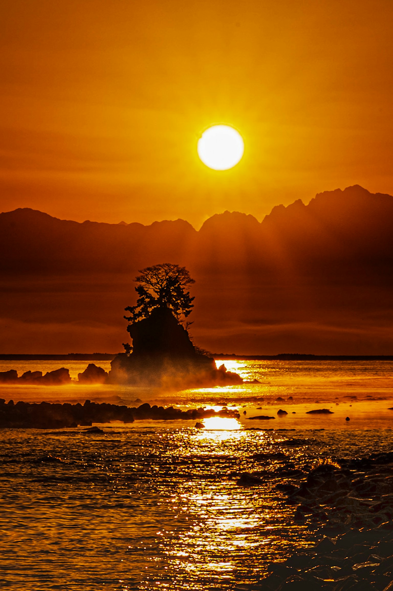 Sonnenuntergang über dem Ozean mit der Silhouette eines Baumes