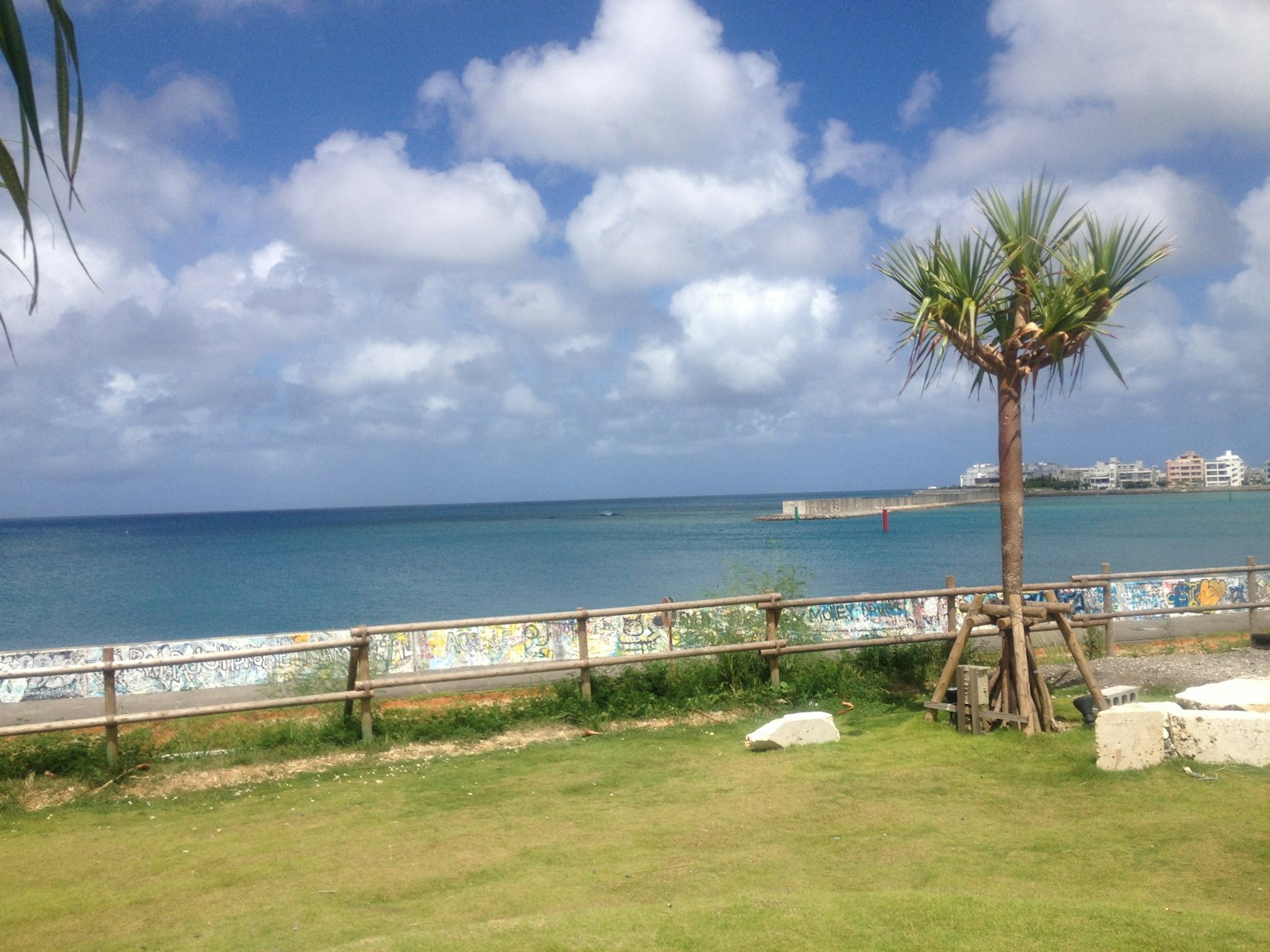 蓝色海洋和白色云朵的风景，绿色草地和棕榈树