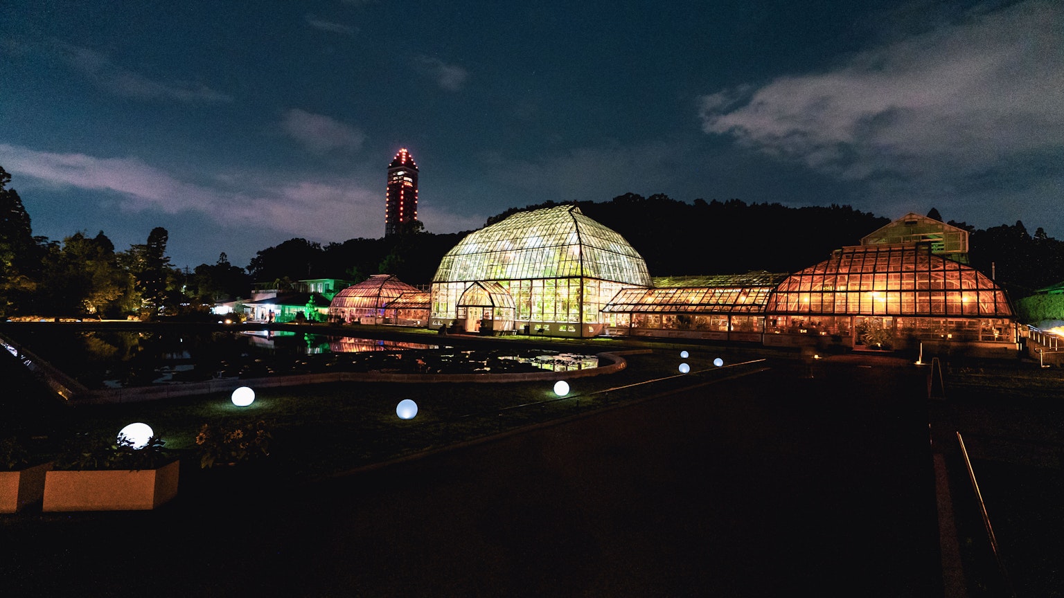 Bella vista della serra e della torre nel giardino botanico di notte