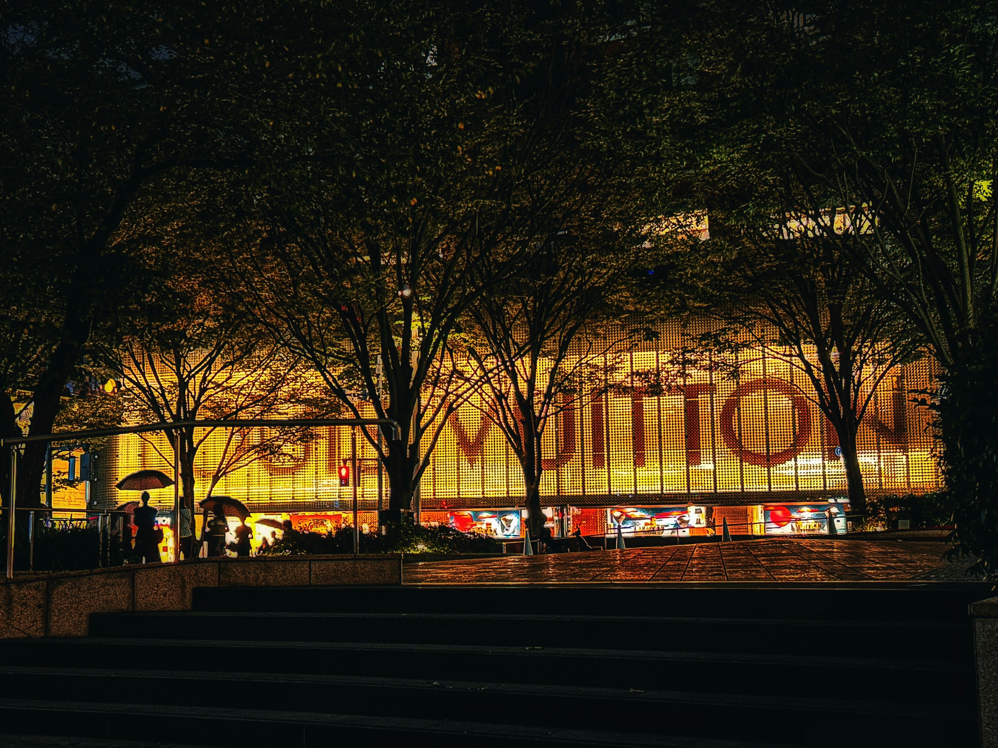 nighttime park trees with a lit-up building facade
