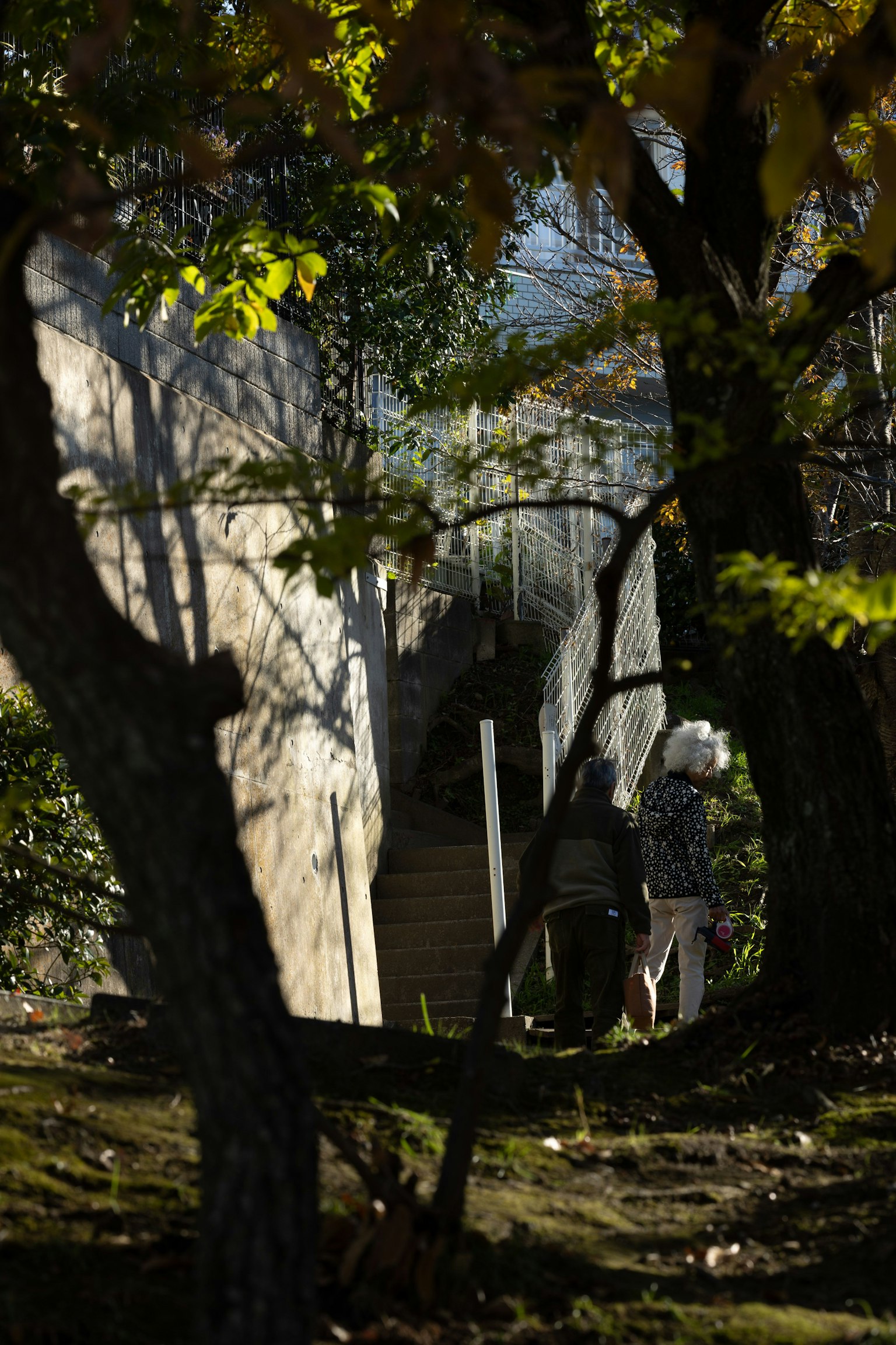 Persone che camminano in un'area boschiva con foglie autunnali