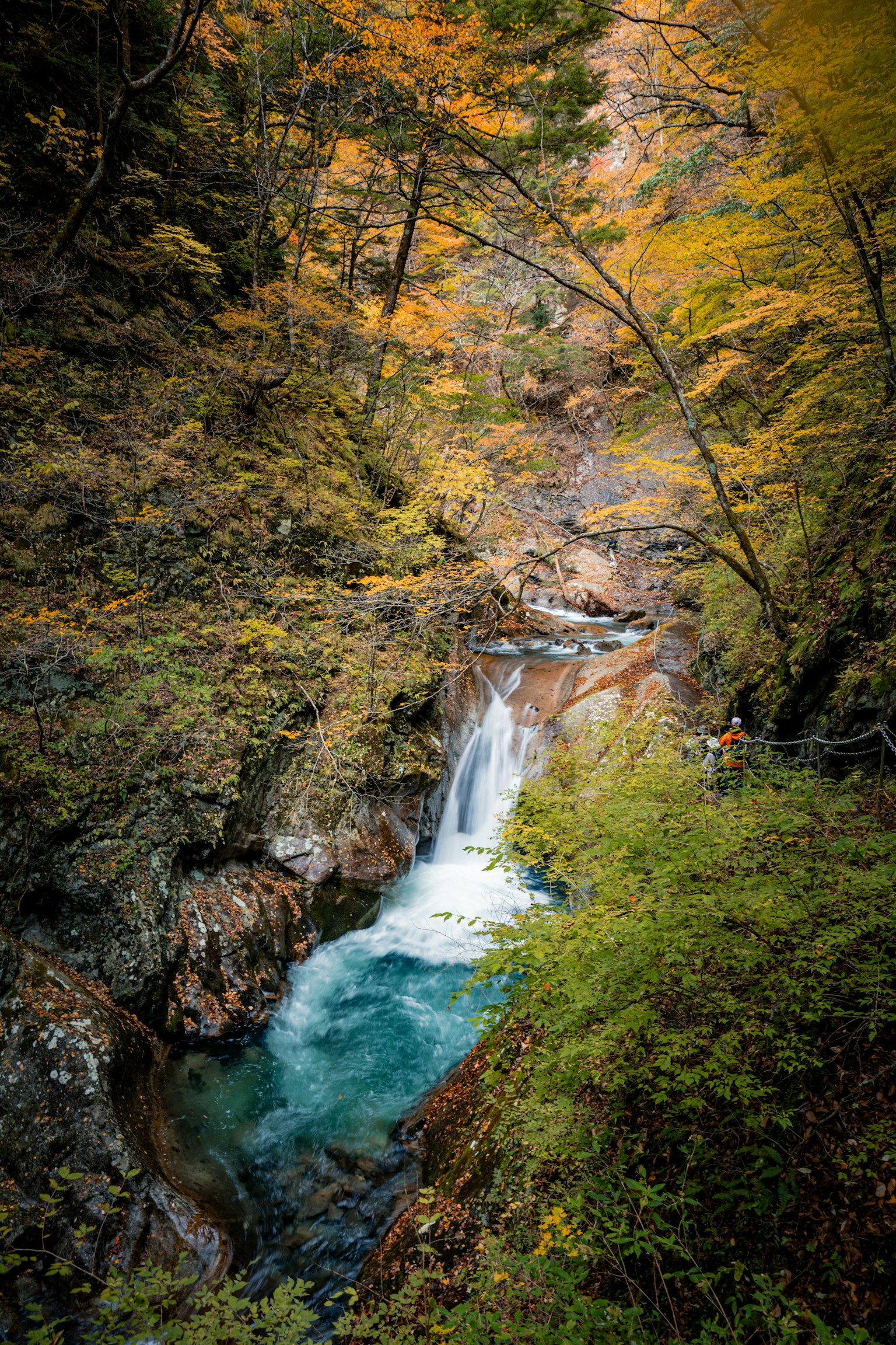 美しい滝と秋の紅葉に囲まれた渓谷の風景