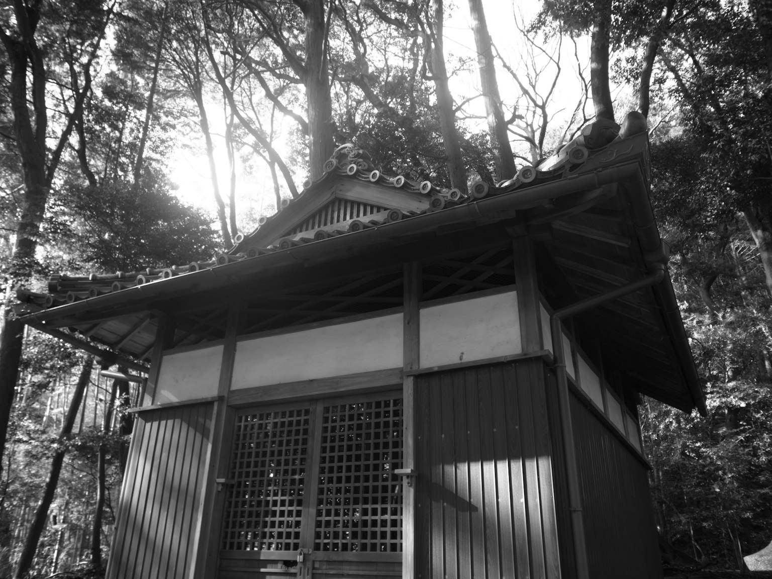 Bangunan tradisional Jepang di hutan dengan cahaya yang menyinari