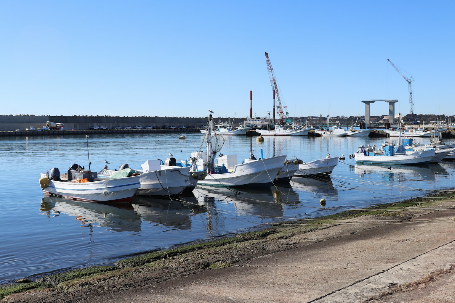 Calm sea with white fishing boats and clear blue sky