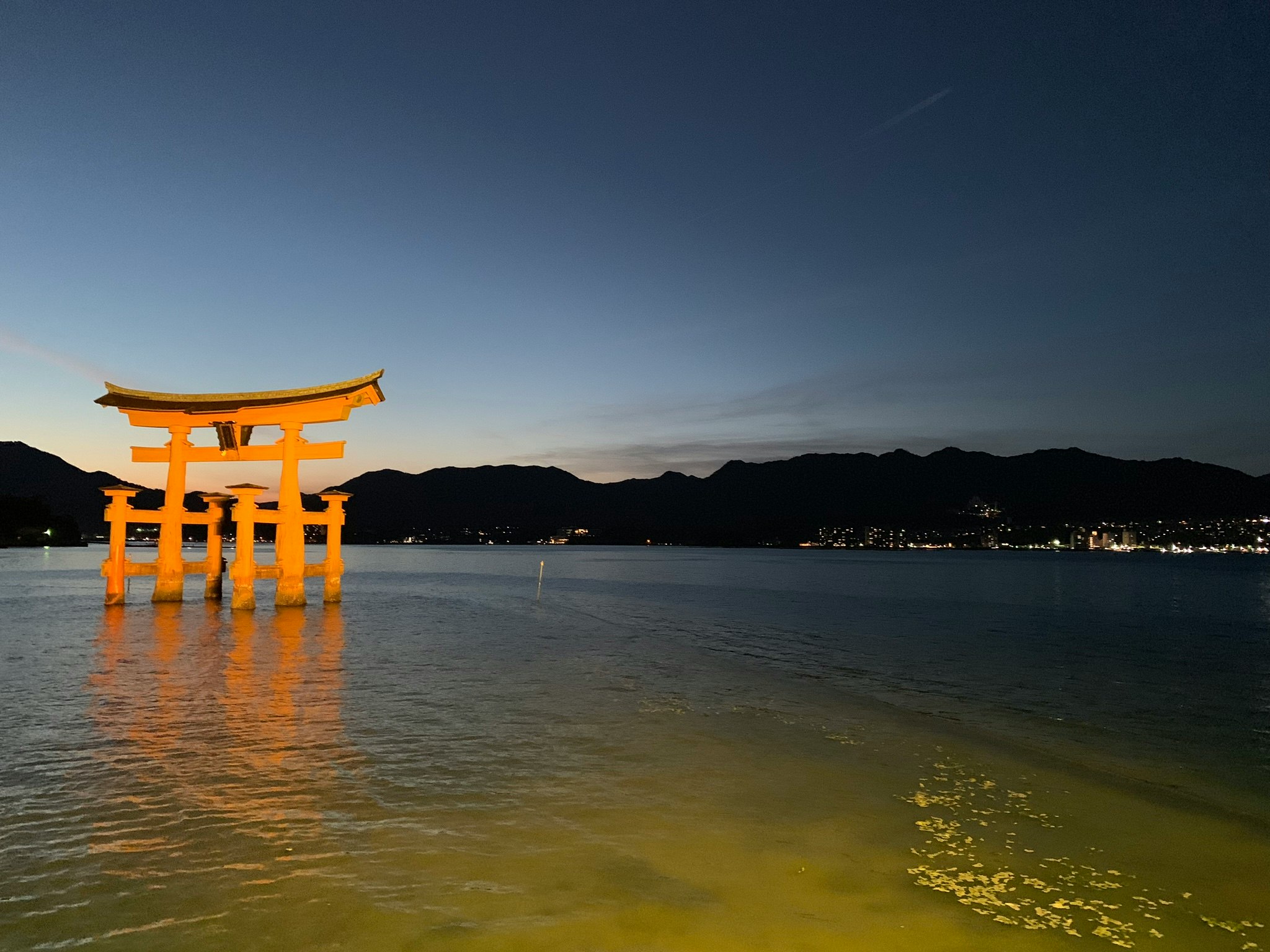 夕暮れの海辺に浮かぶ朱色の鳥居