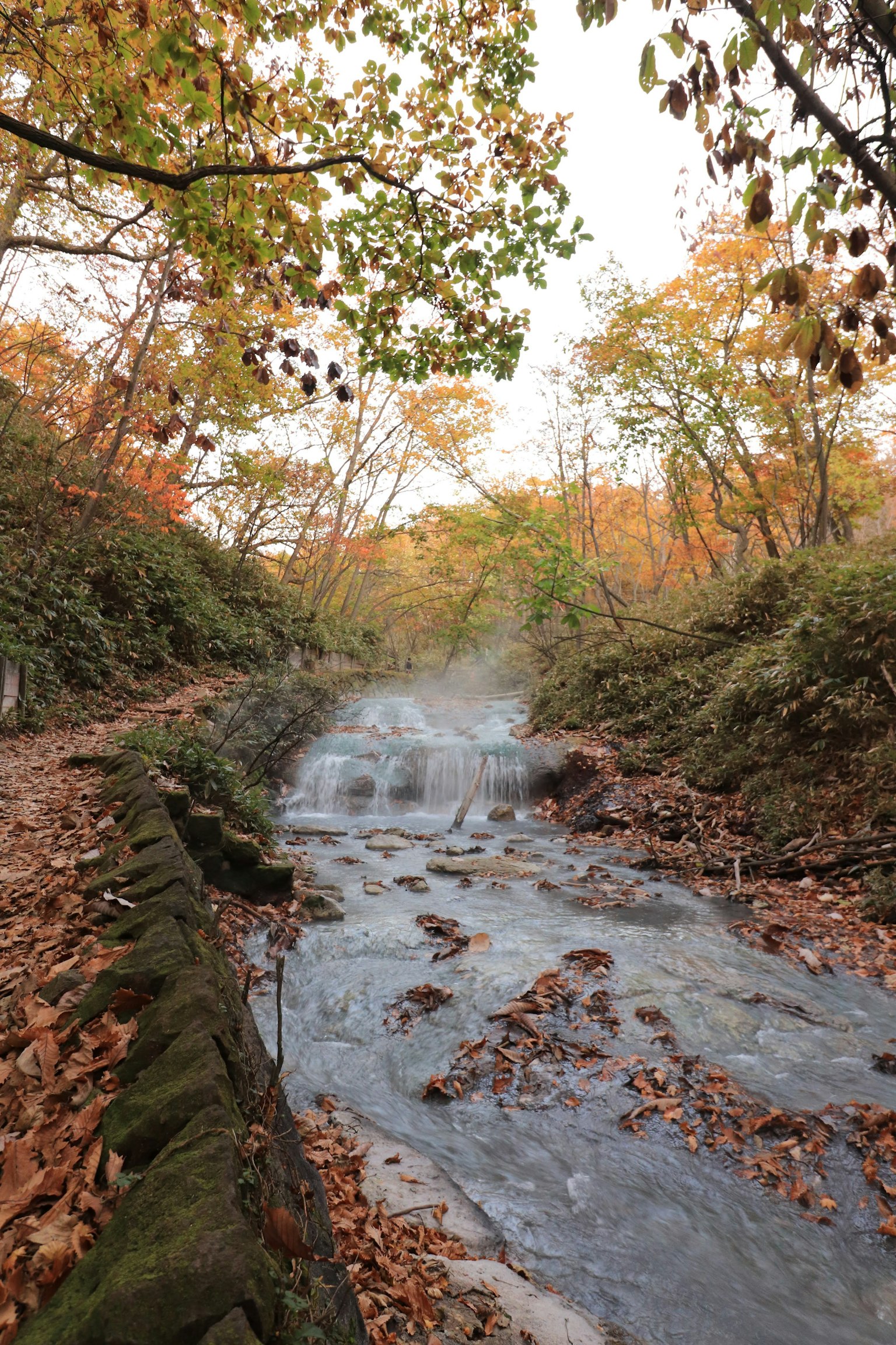 Scenic view of a stream surrounded by autumn foliage