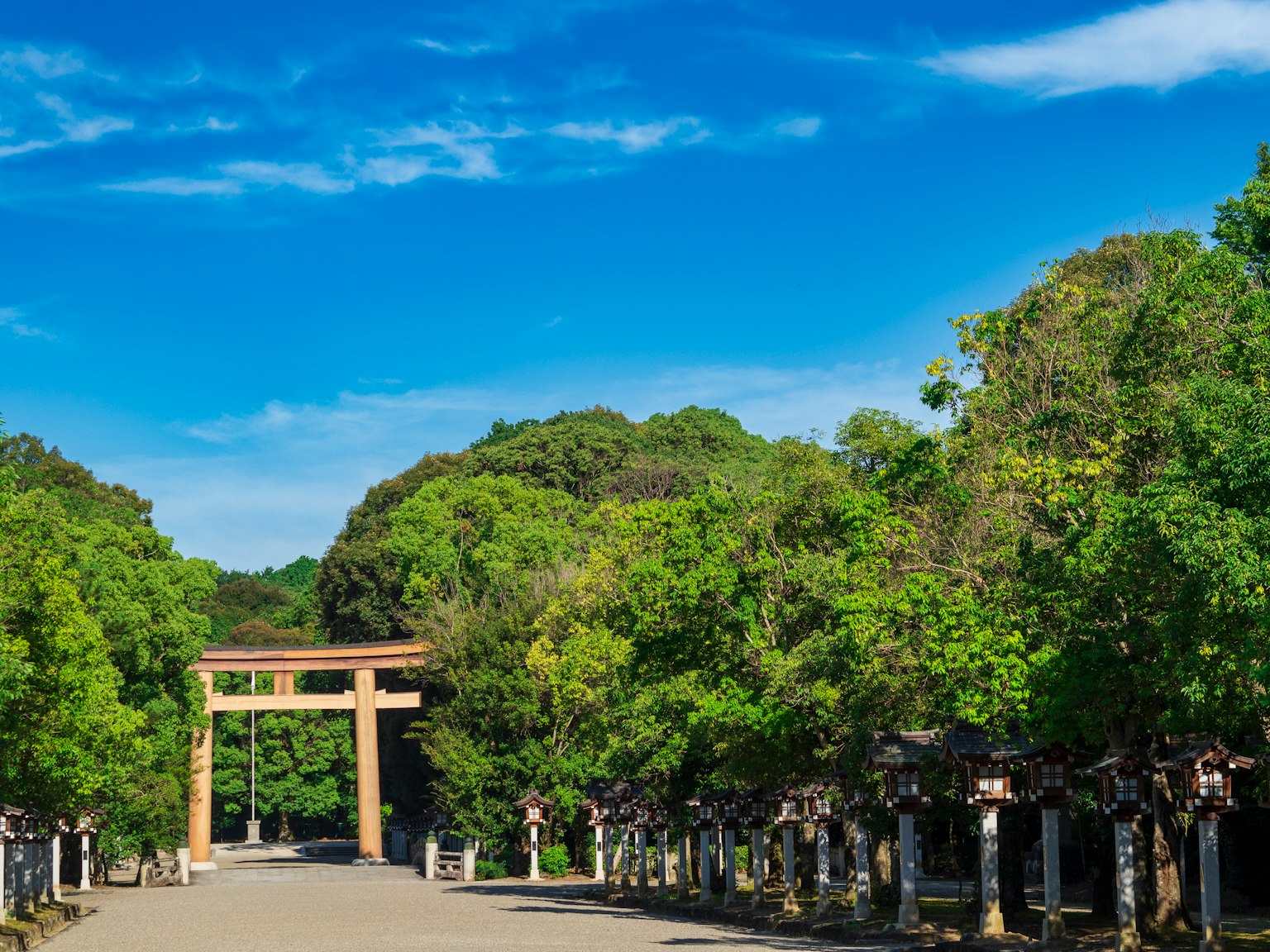 Con đường rộng rãi được bao quanh bởi cây xanh và cổng torii nổi bật