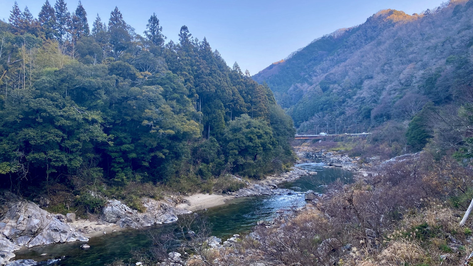 Un paisaje de río sereno rodeado de bosques verdes fluyendo entre montañas