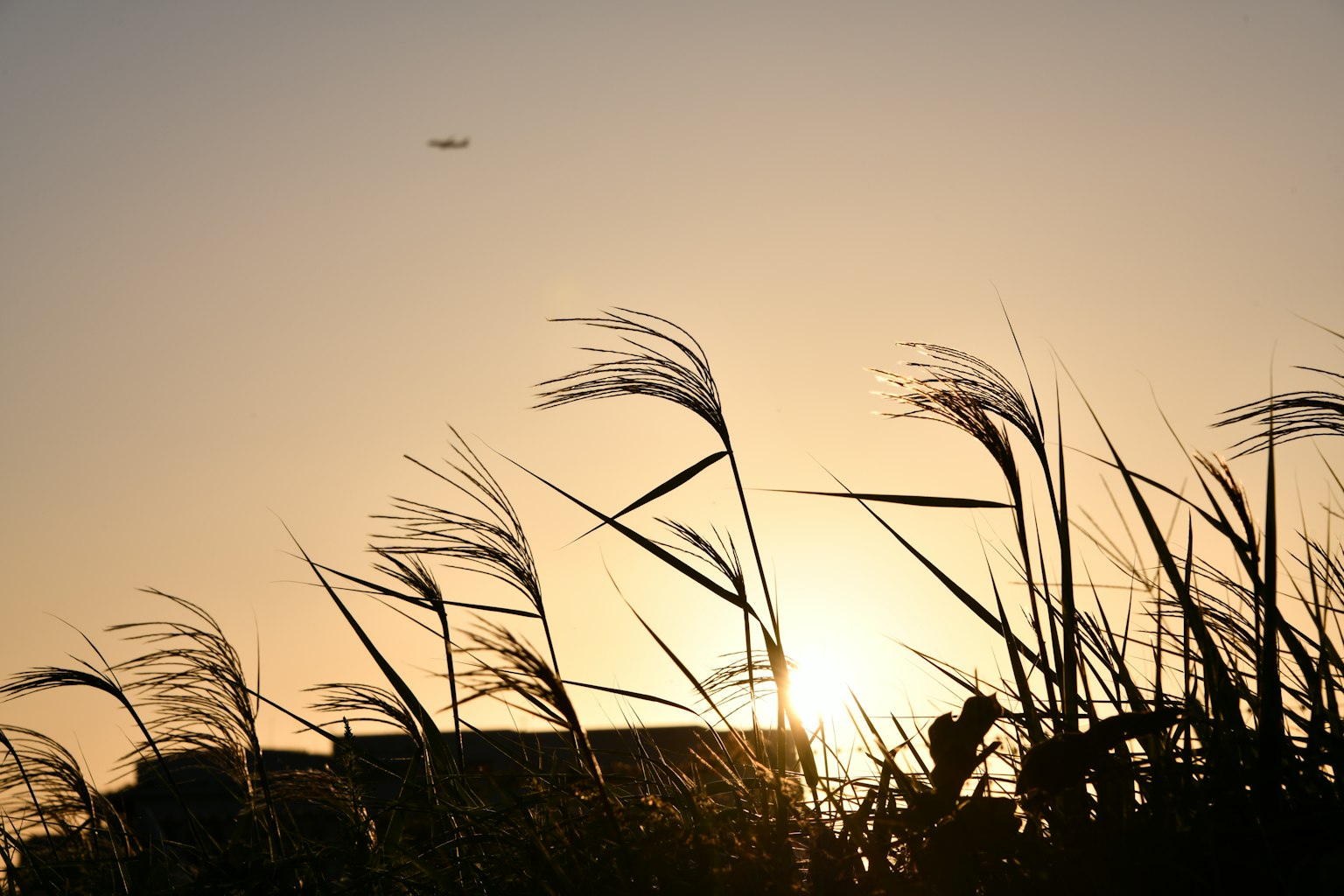 photo-WfSwVLg28Hx2lez5sdnK-image