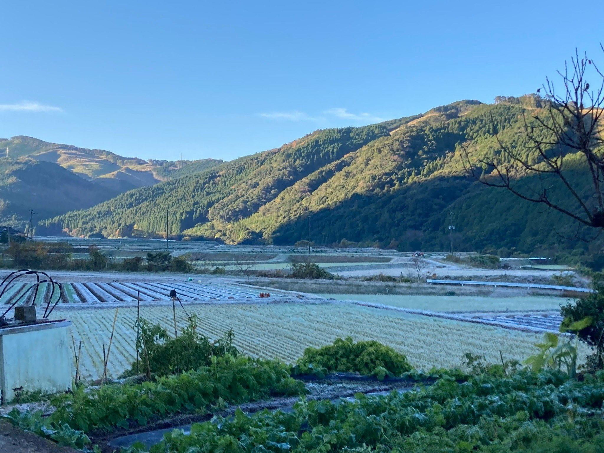 寒い朝の山あいの田畑と川の風景