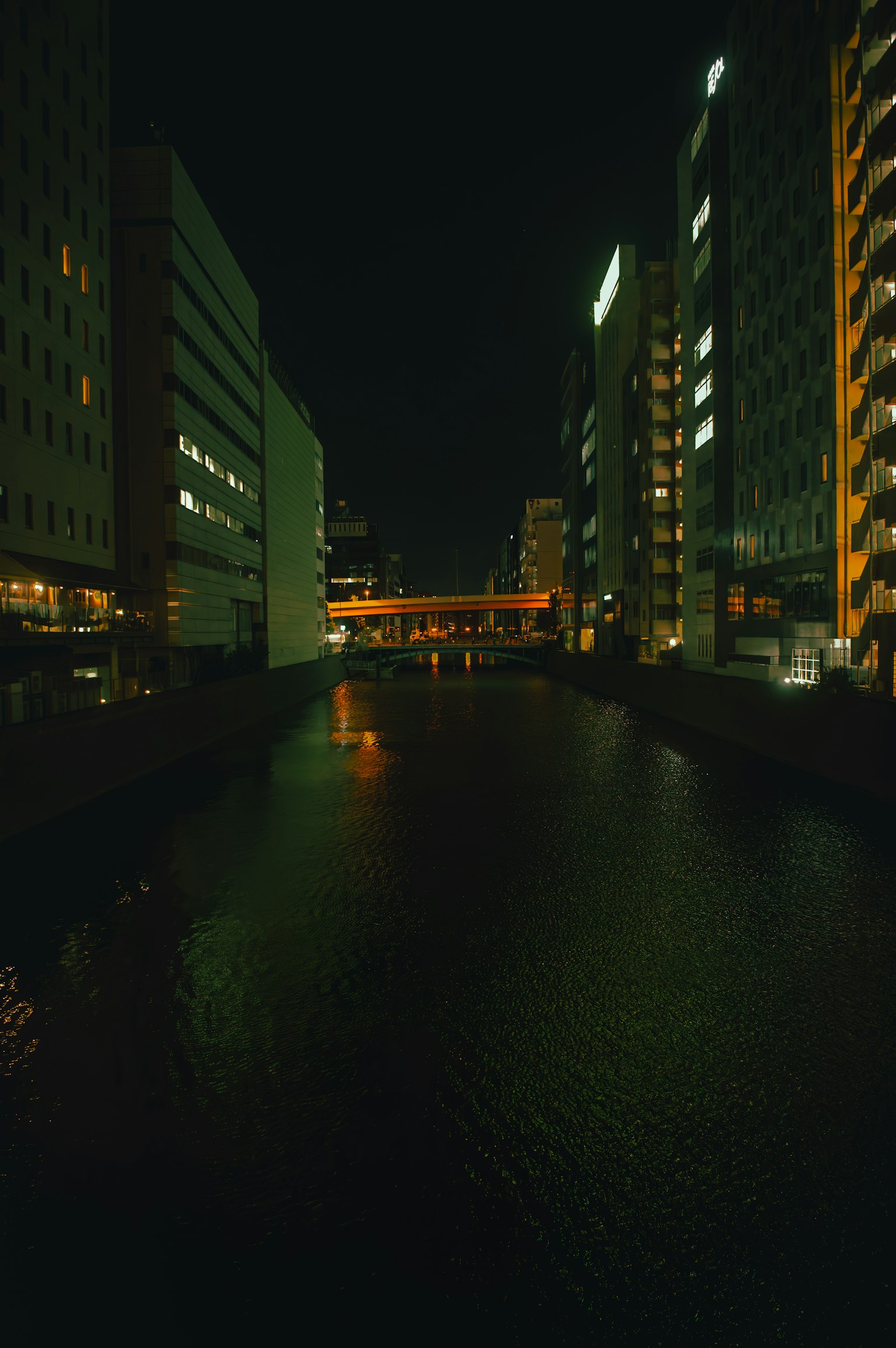 夜间城市风光沿河高楼大厦和桥梁倒影