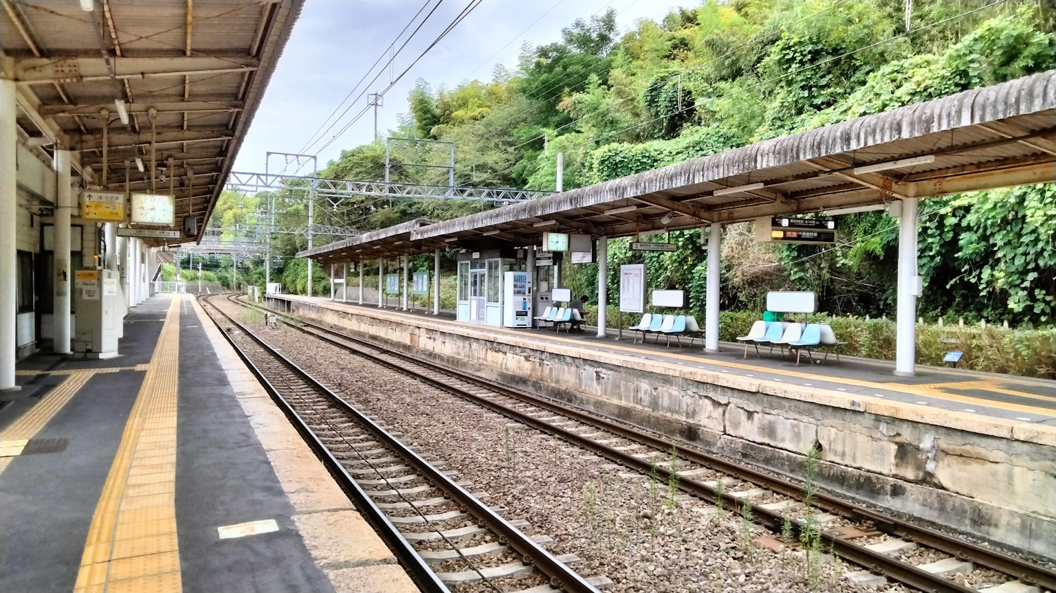 Quiet train station platform with lush greenery in the background