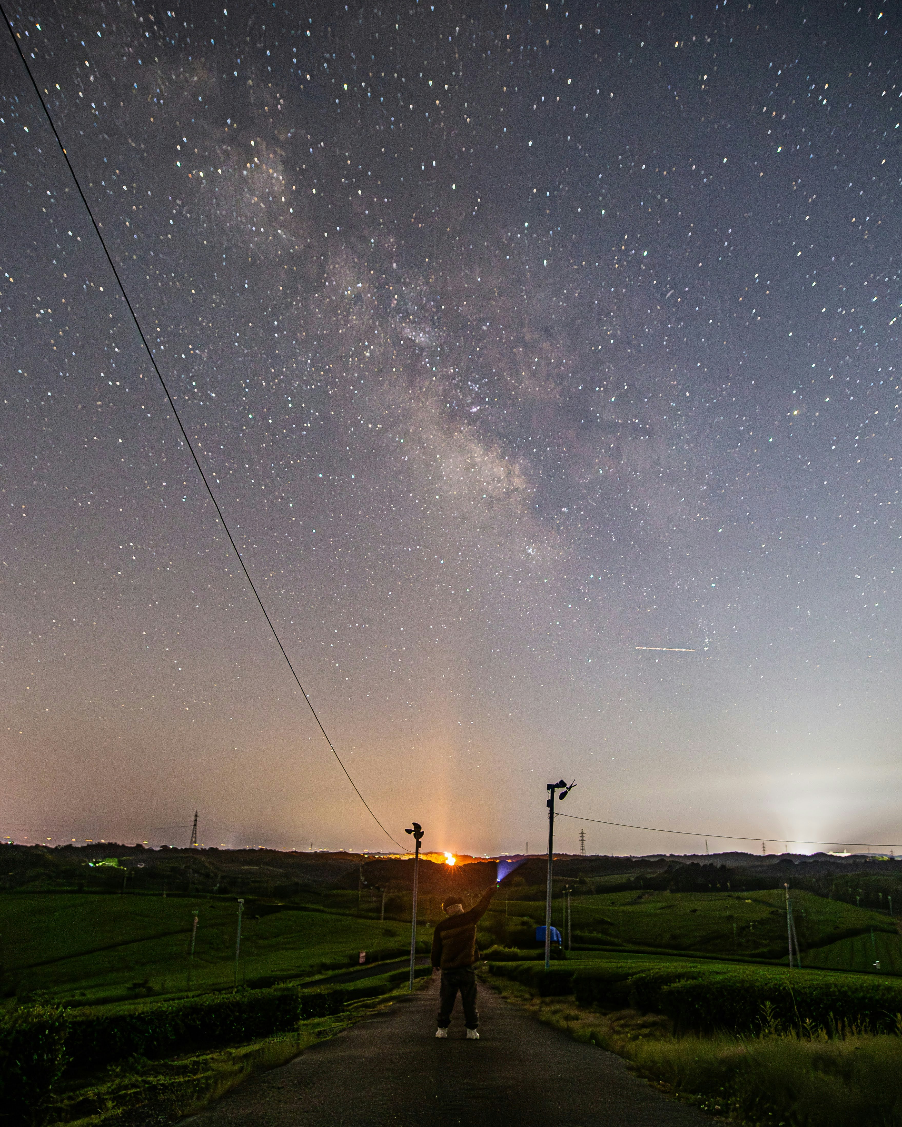 広大な茶畑の小道に立つ人物と天の川の星空