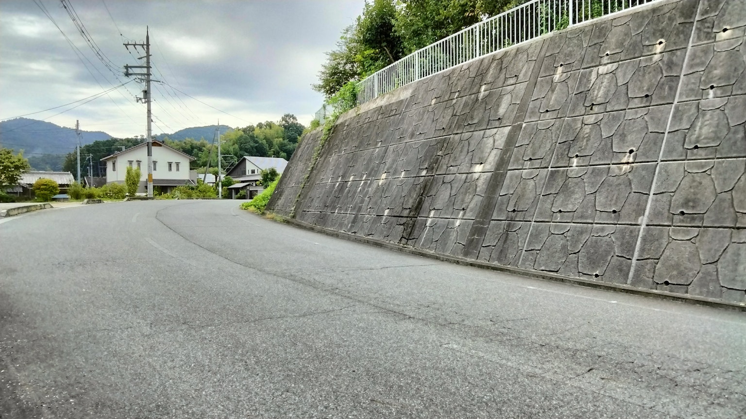 弯曲的道路和周围绿色植物的混凝土墙