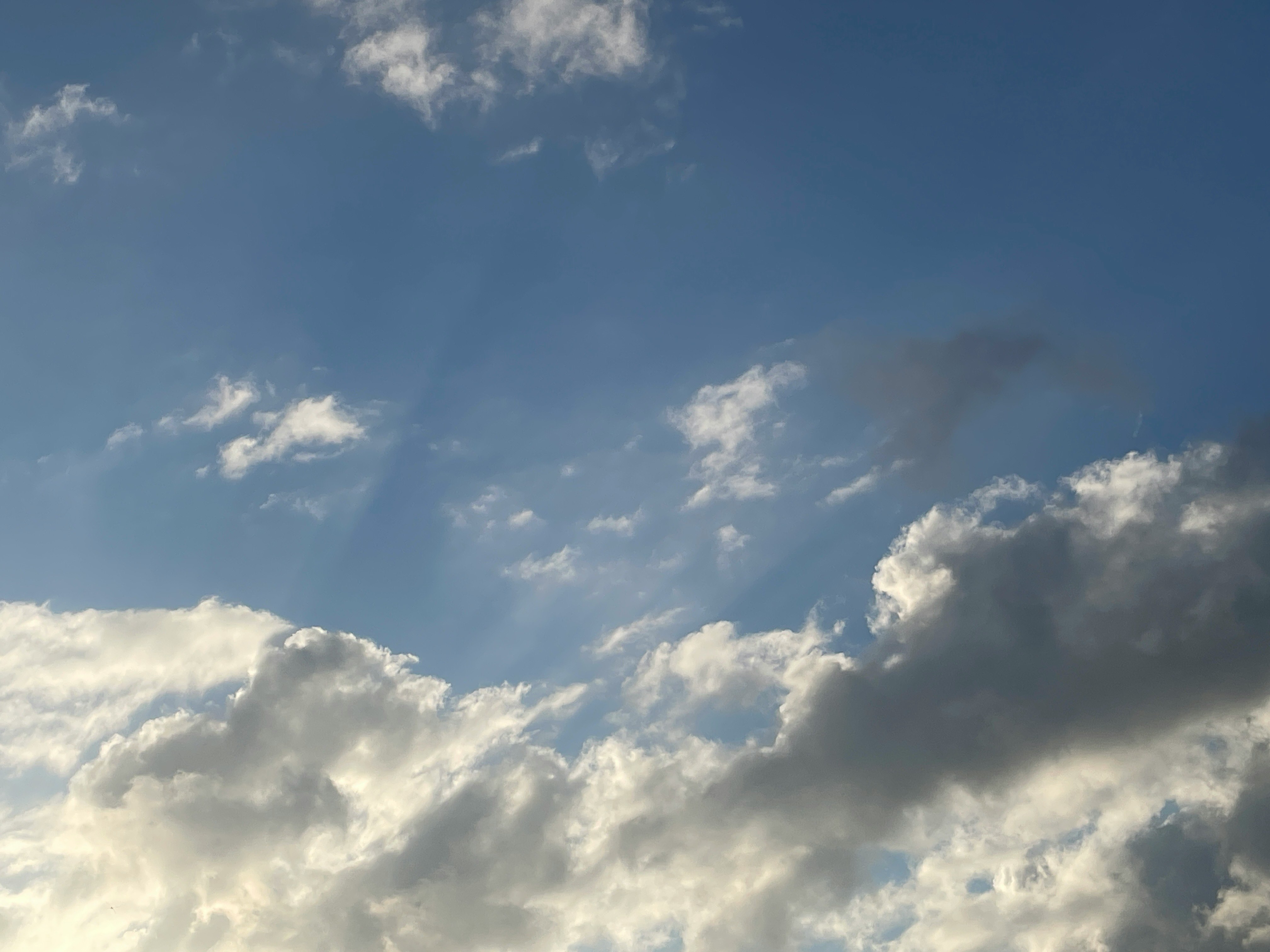 早朝の雲が広がる青空