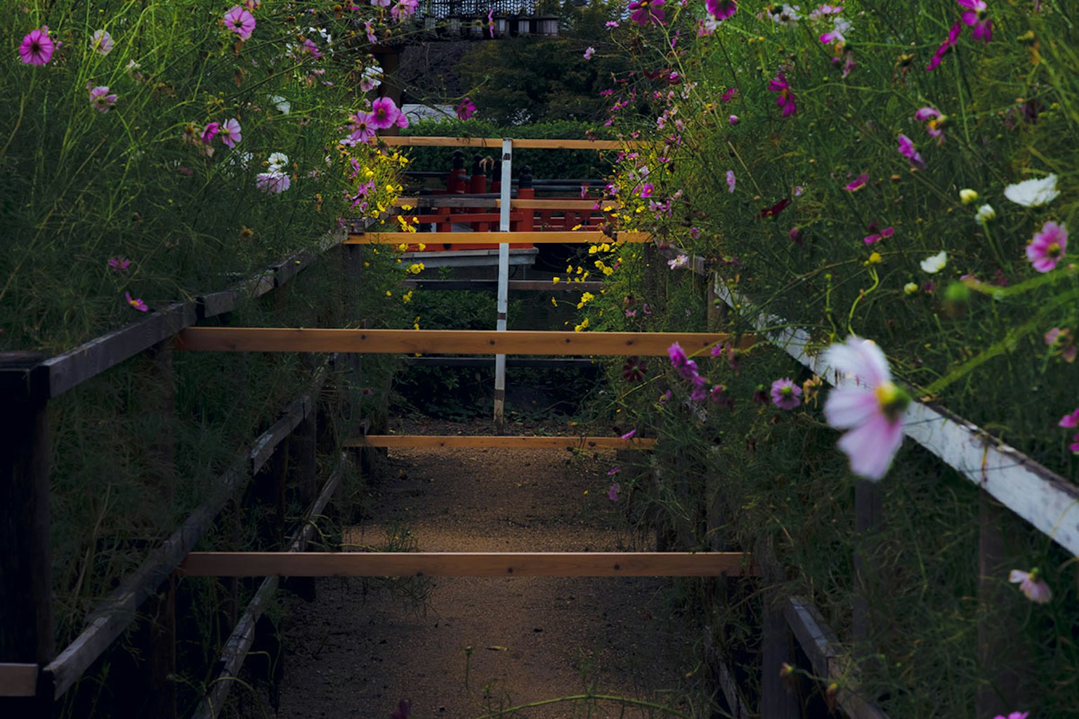 Weg gesäumt von blühenden Blumen und Holzgeländern