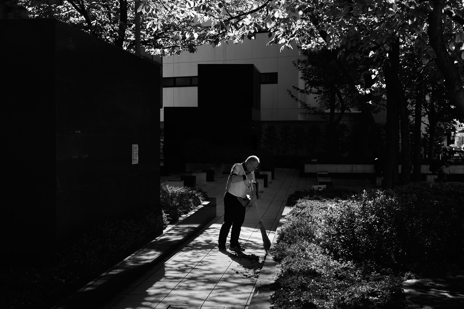 photo-WiBngvdMl5ugb4DBN27J-image