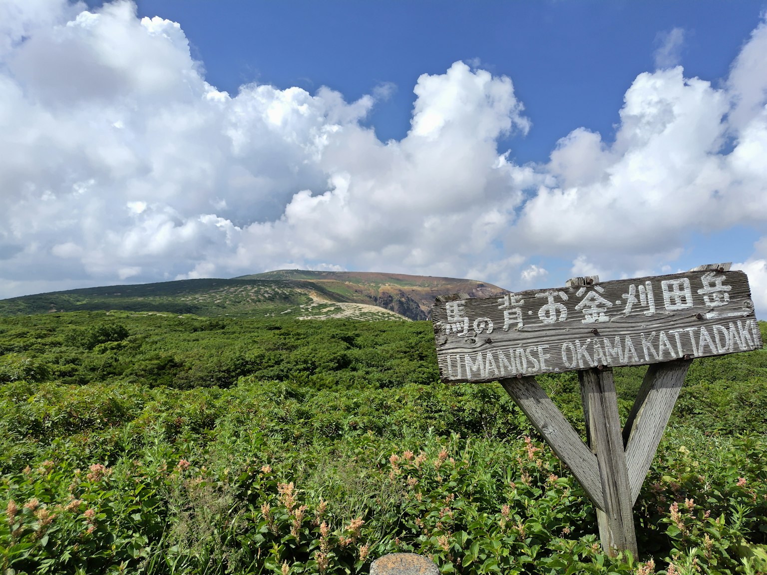 Papan petunjuk dengan teks Jepang di lanskap hijau dan latar belakang gunung