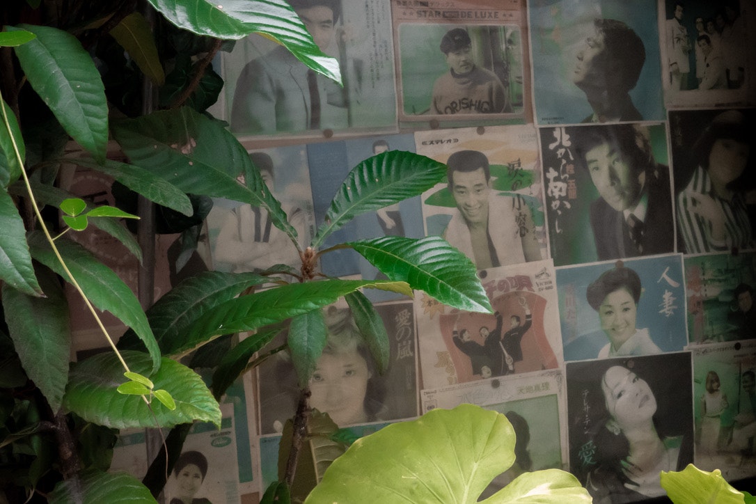 壁一面に貼られた人物写真と観葉植物の葉