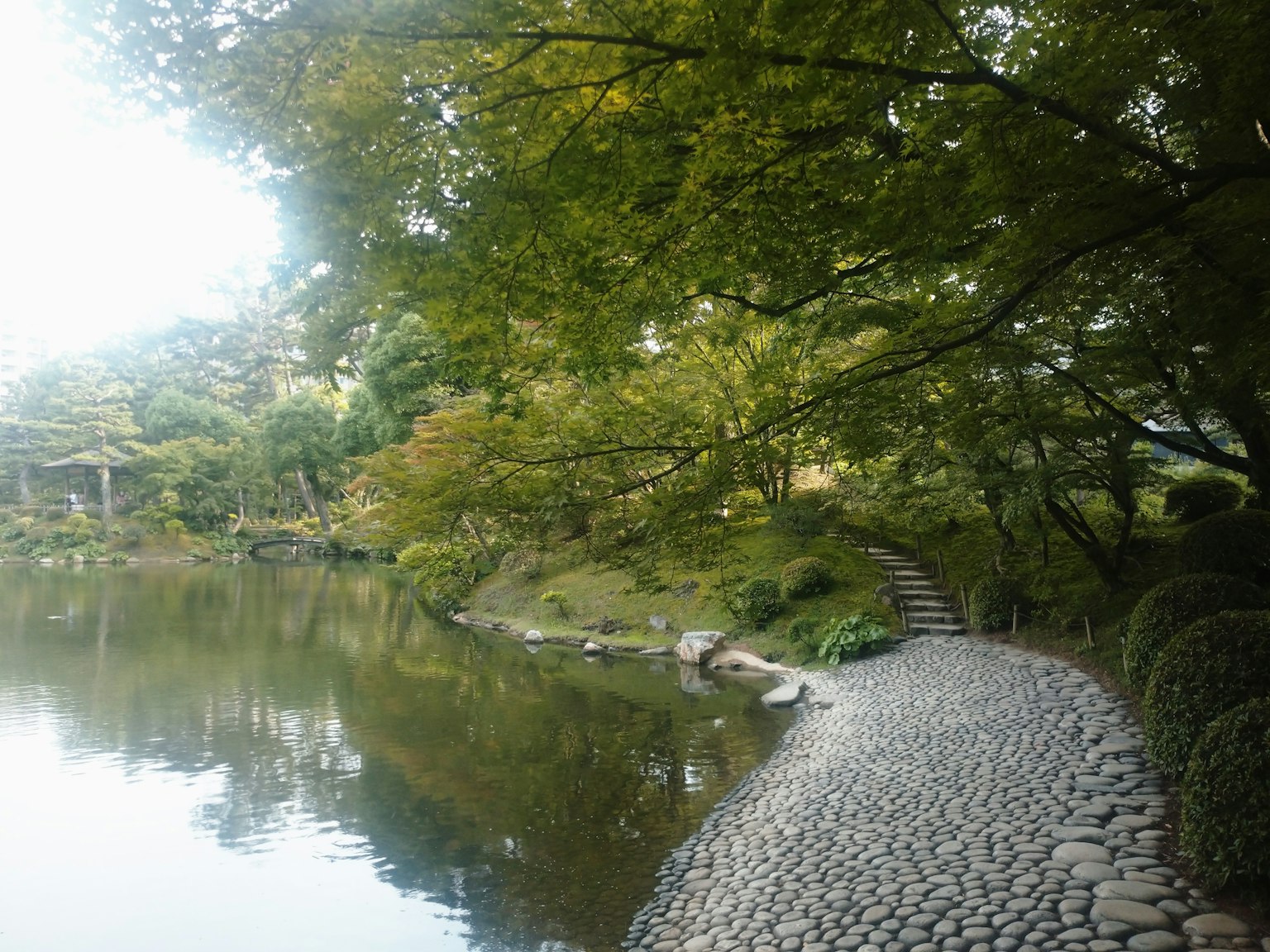 평화로운 연못 옆의 돌길과 무성한 녹음