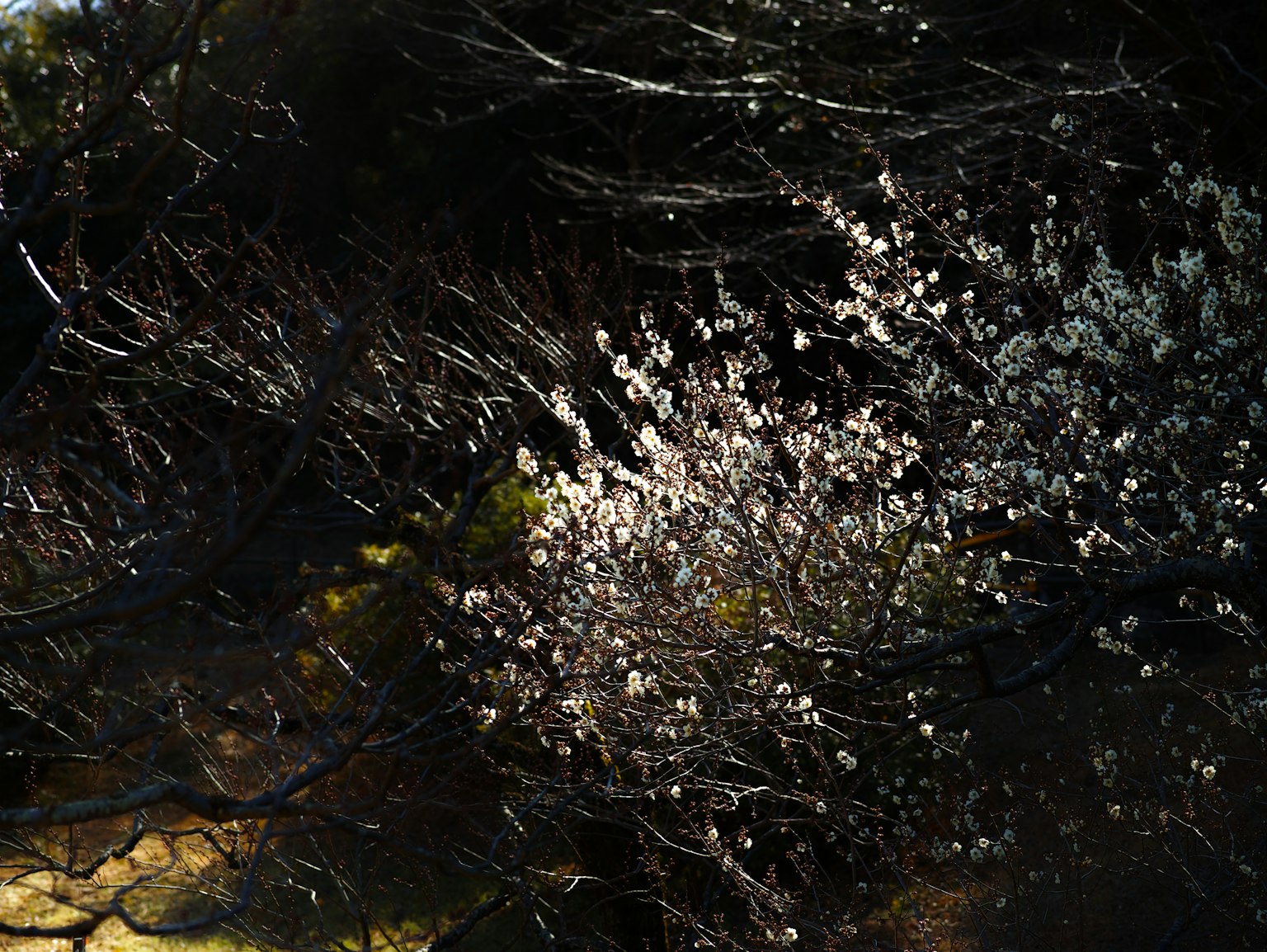 photo-Wj6xRLFfiNufpPP7KgVc-image