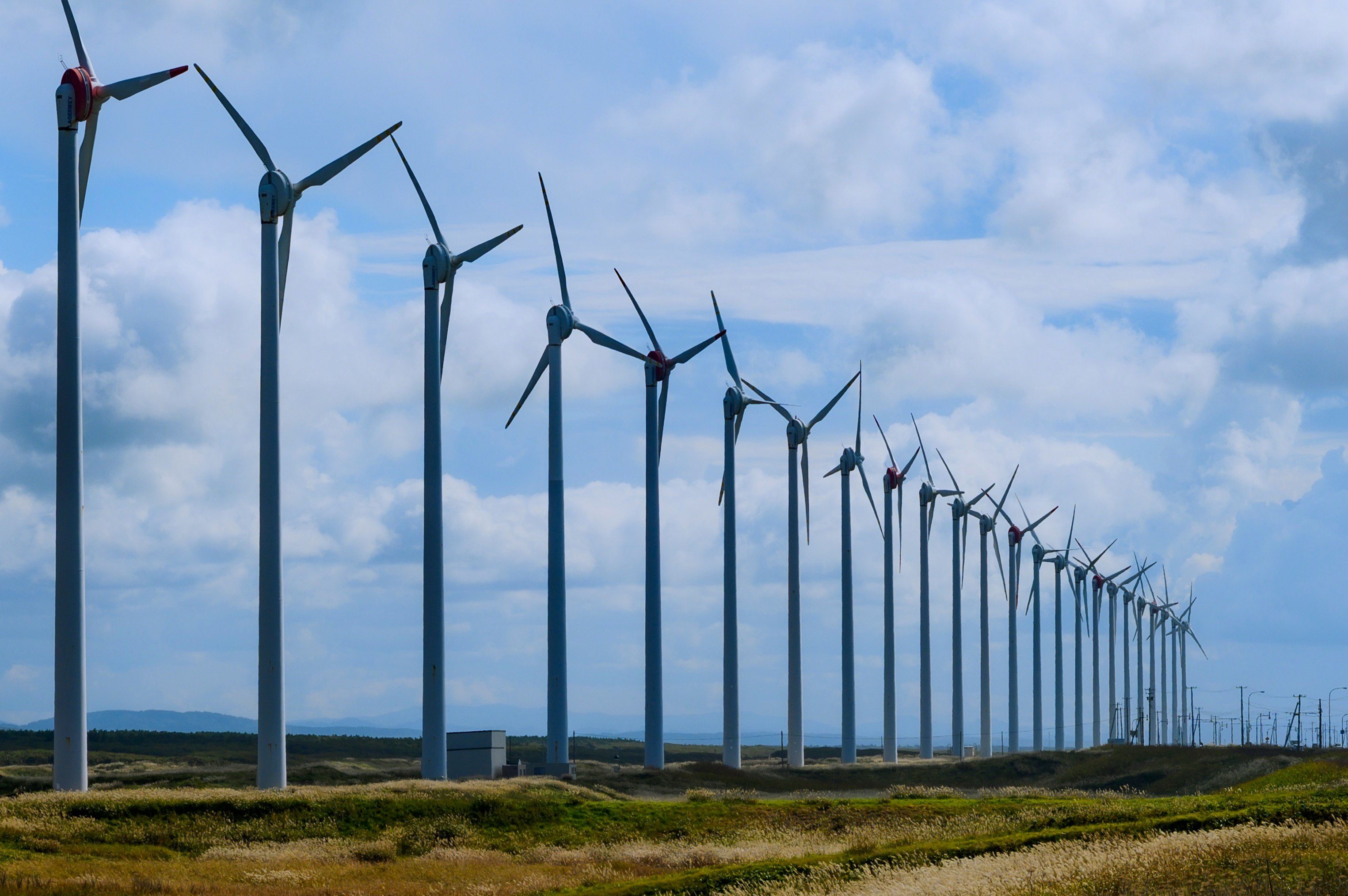 草地山丘上成排的風力發電機影像