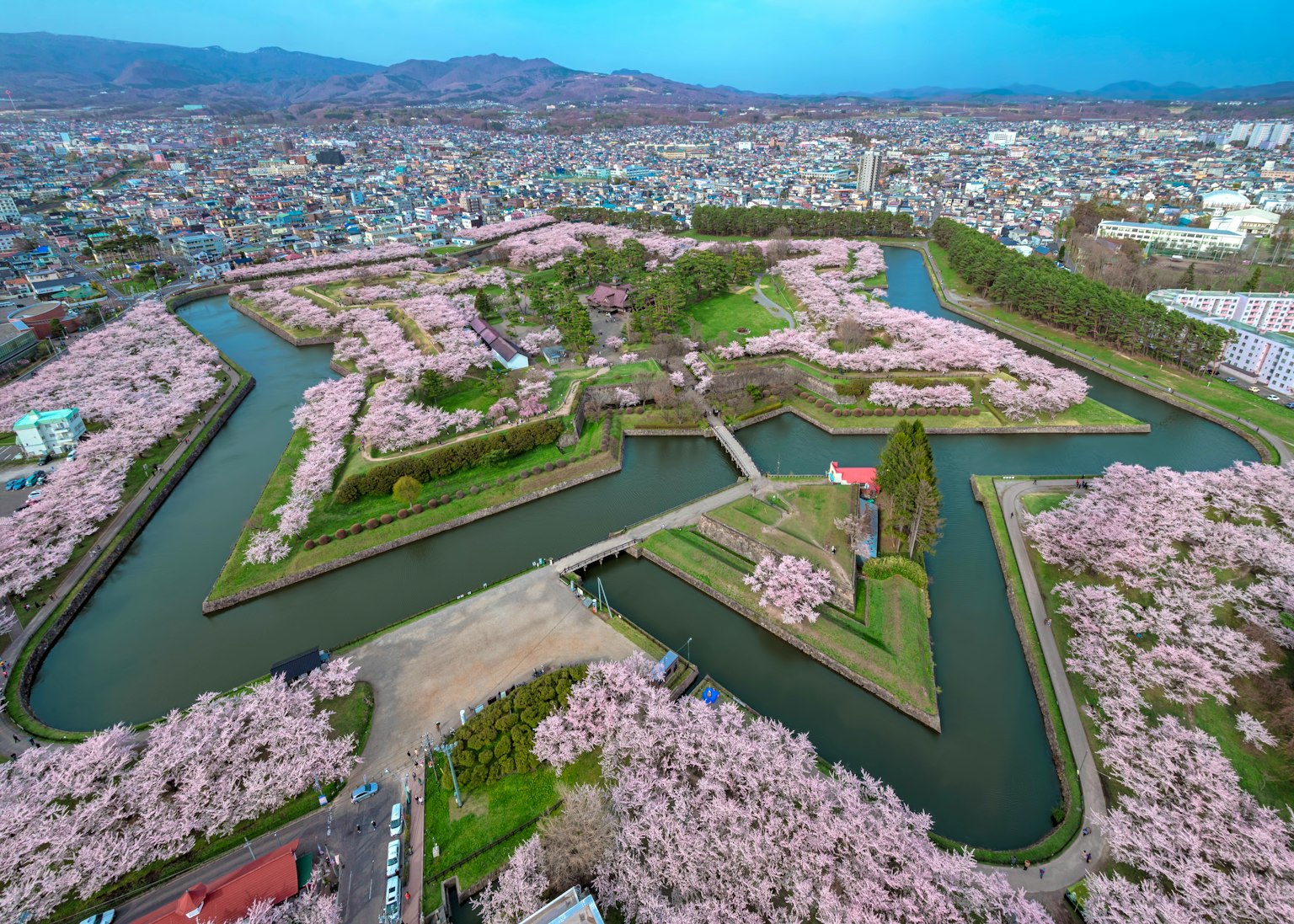 Vista aerea di un parco con ciliegi in fiore e fiumi tortuosi