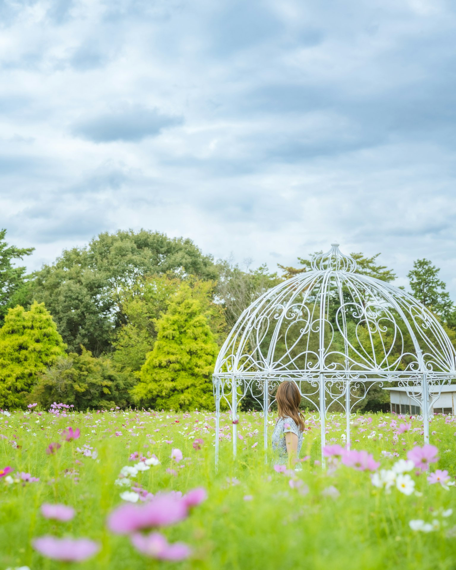 Une femme se tenant sous un gazebo blanc dans un champ de fleurs colorées sous un ciel bleu