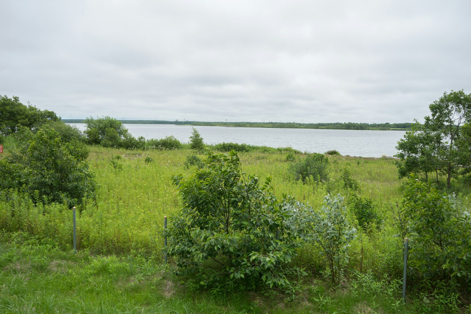 Lago tranquilo con praderas verdes circundantes