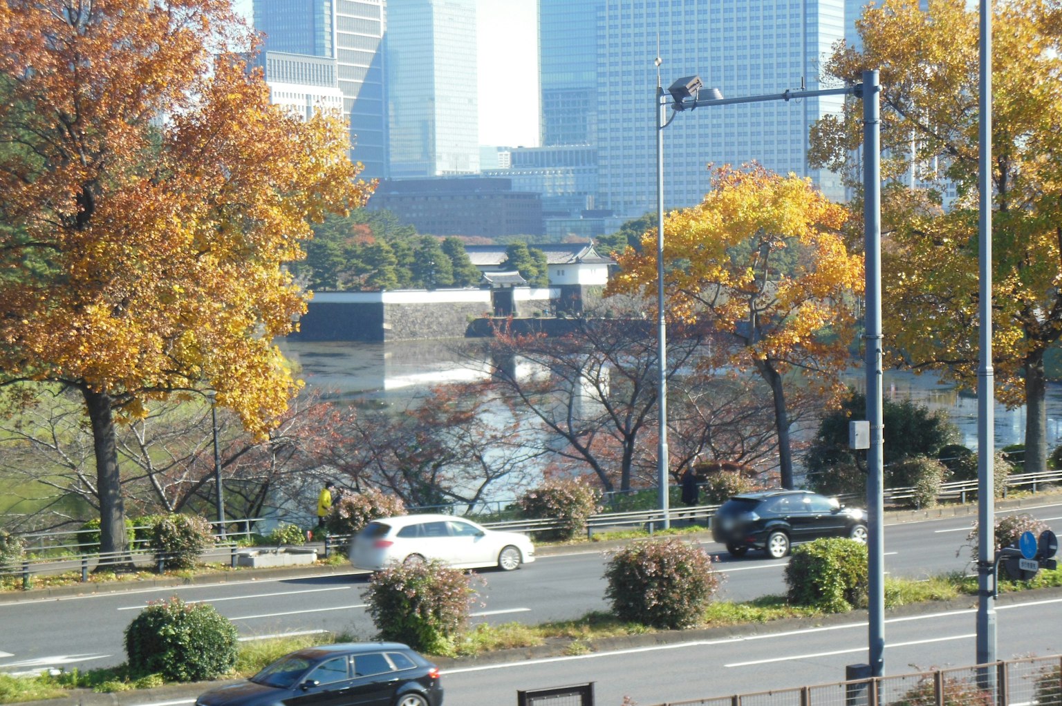Escenario de otoño con árboles y fondo urbano junto a la carretera
