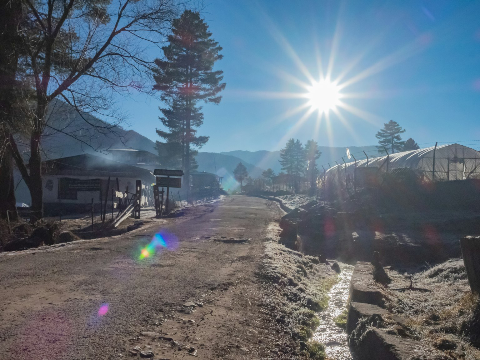 风景如画的山路，阳光明媚，天空清澈
