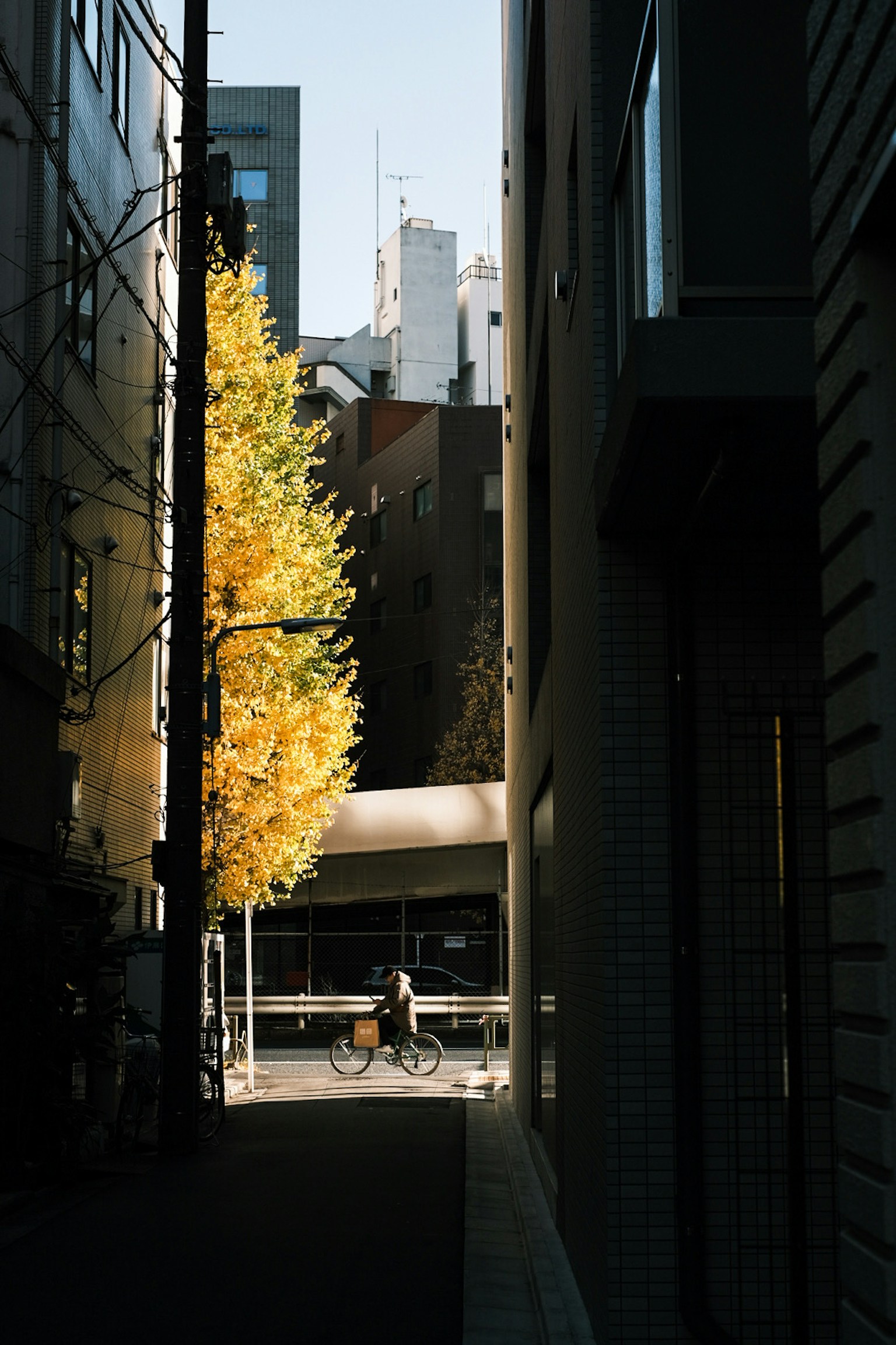 Narrow alley featuring a vibrant yellow ginkgo tree and surrounding buildings in autumn