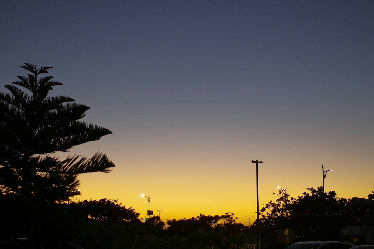 夕焼けの空とシルエットの木々が見える風景
