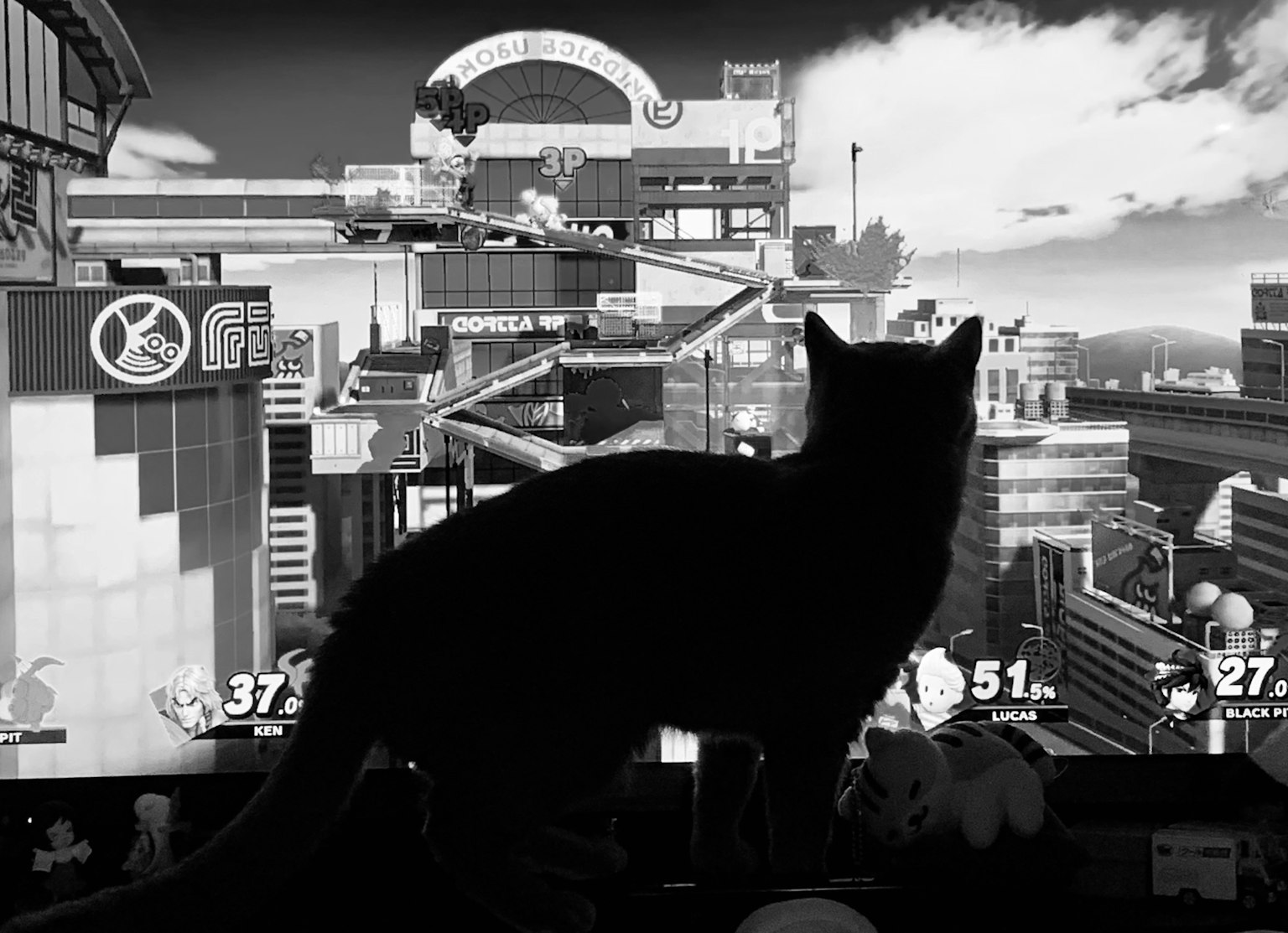 猫的轮廓在看视频游戏屏幕