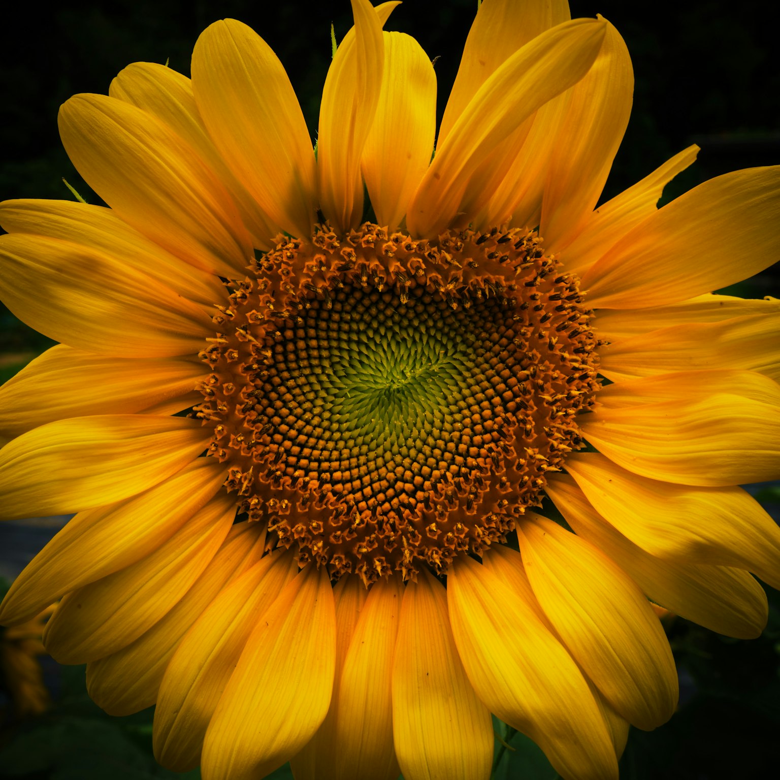 photo-WncXAVTDhW80T9TxwKj8-image