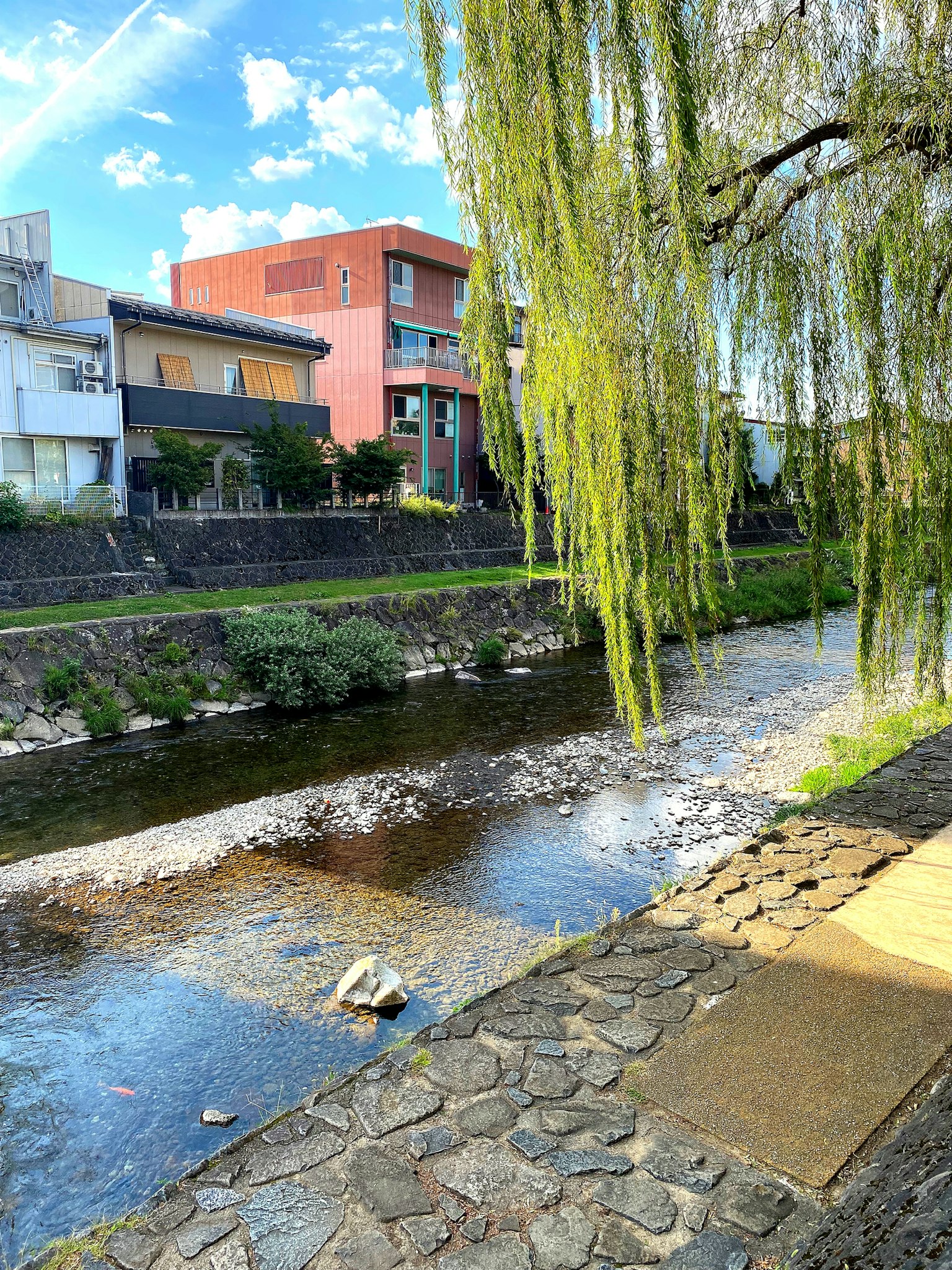 Vista panoramica di un fiume con un salice verde e un sentiero di pietra