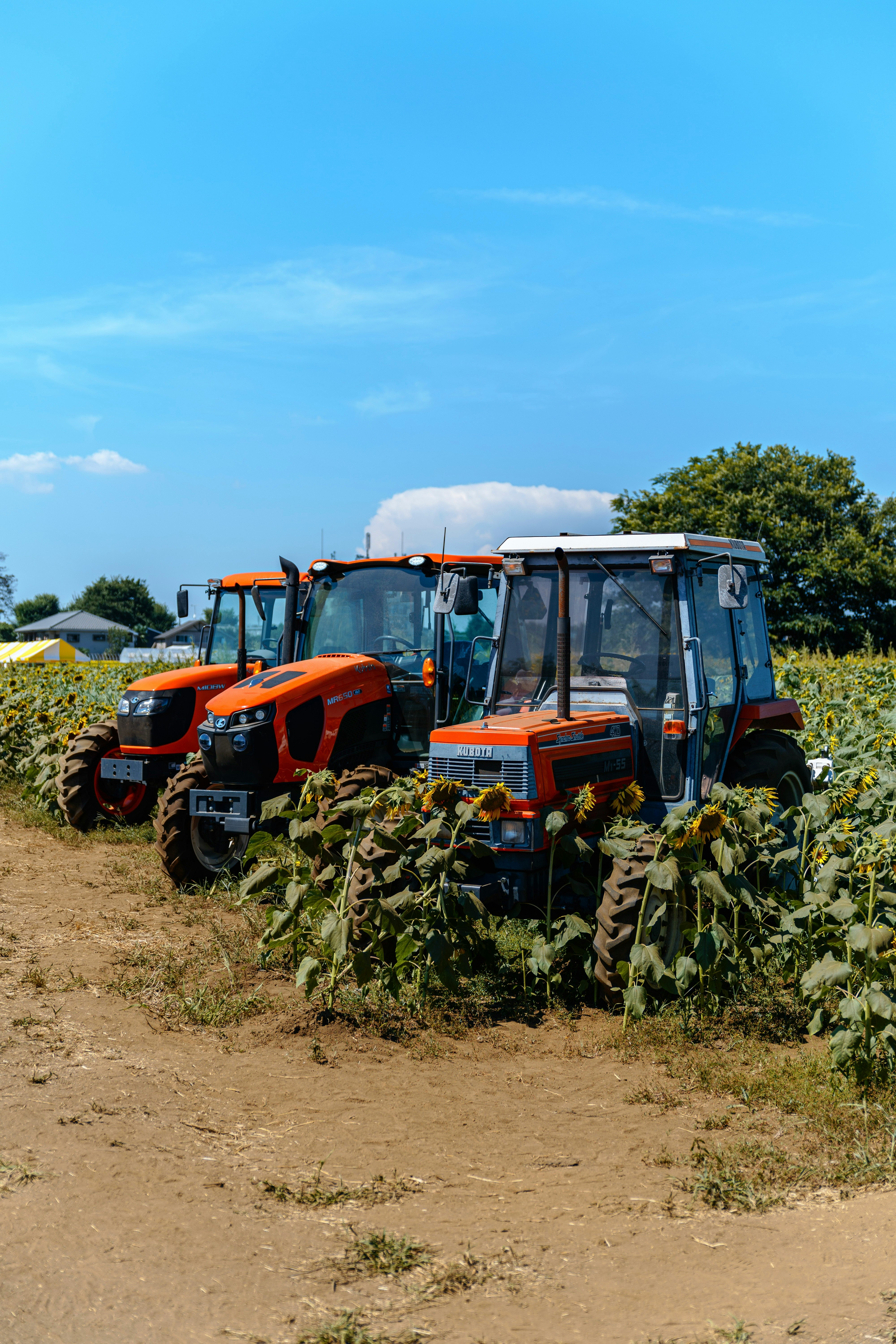 orange agricultural tractor working in a field