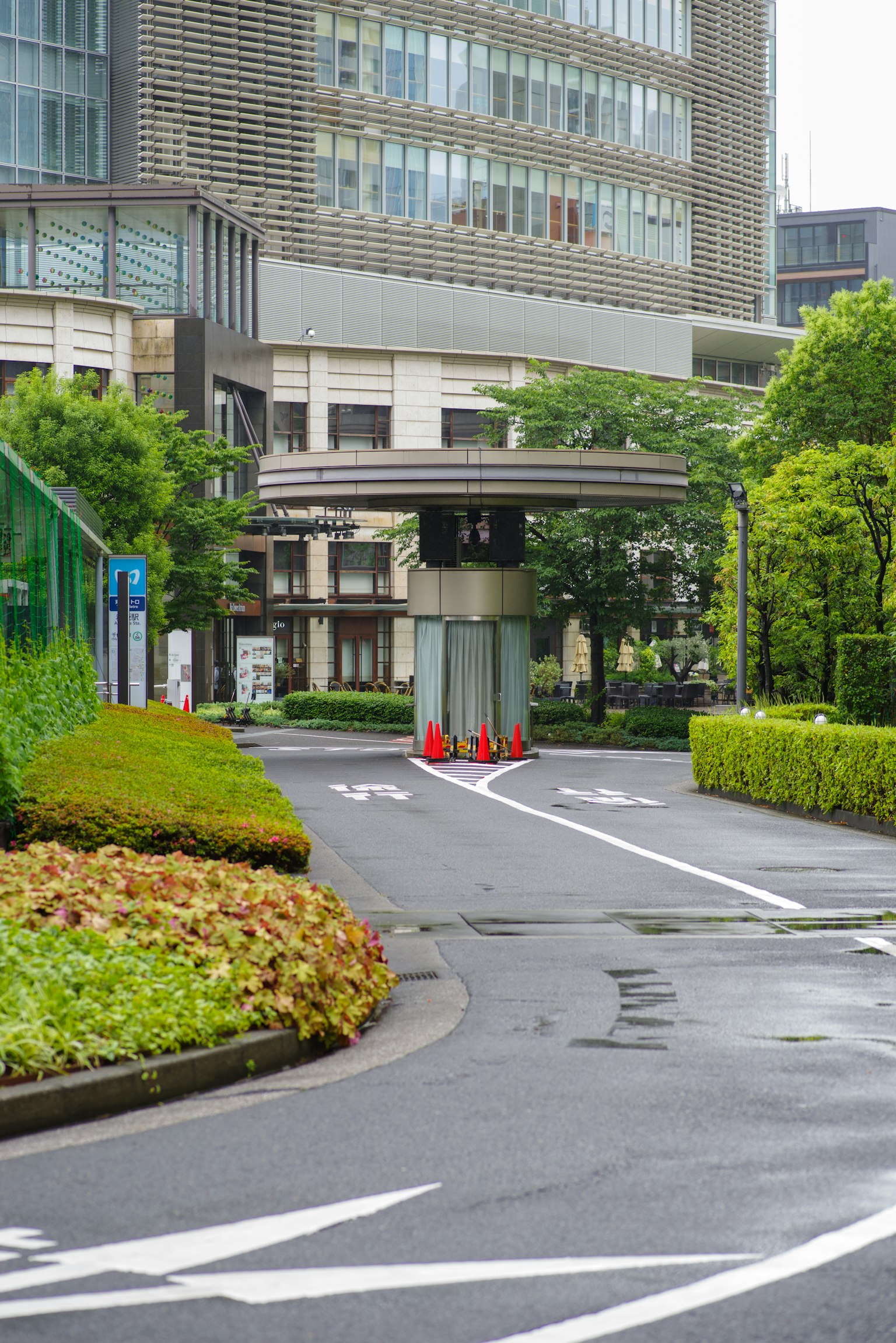 Route urbaine entourée de verdure et de cônes de circulation