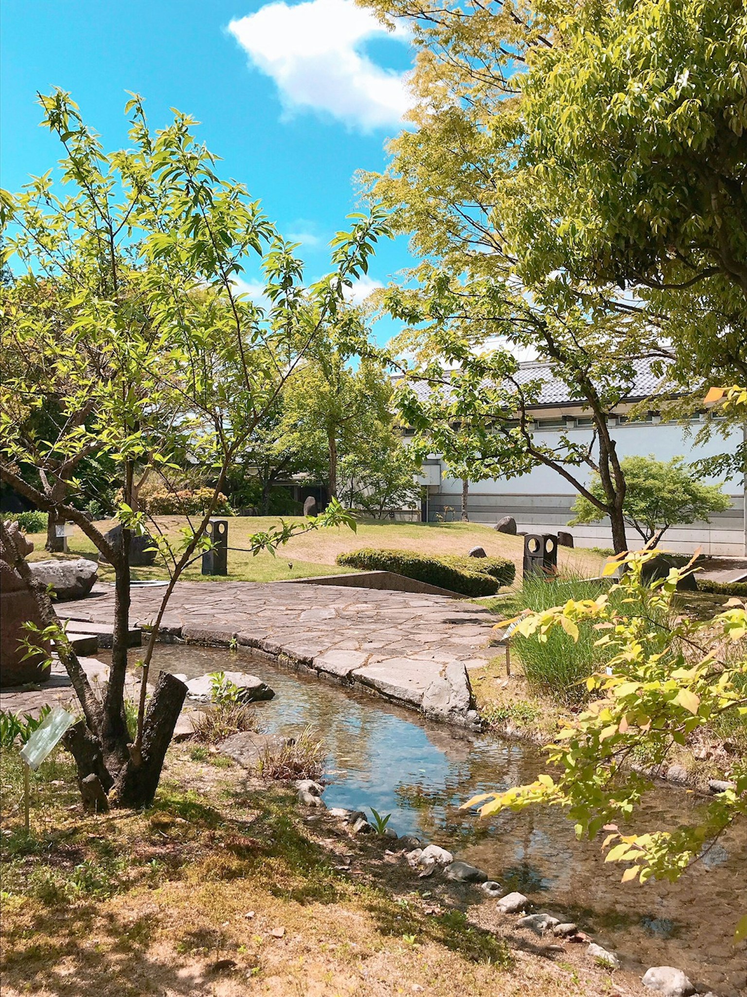 Paesaggio di giardino sereno con cielo blu e alberi verdi lussureggianti