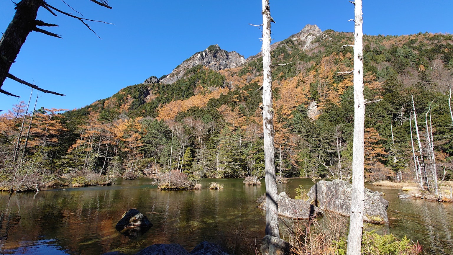 藍天之下的山脈和池塘景觀展示秋季色彩