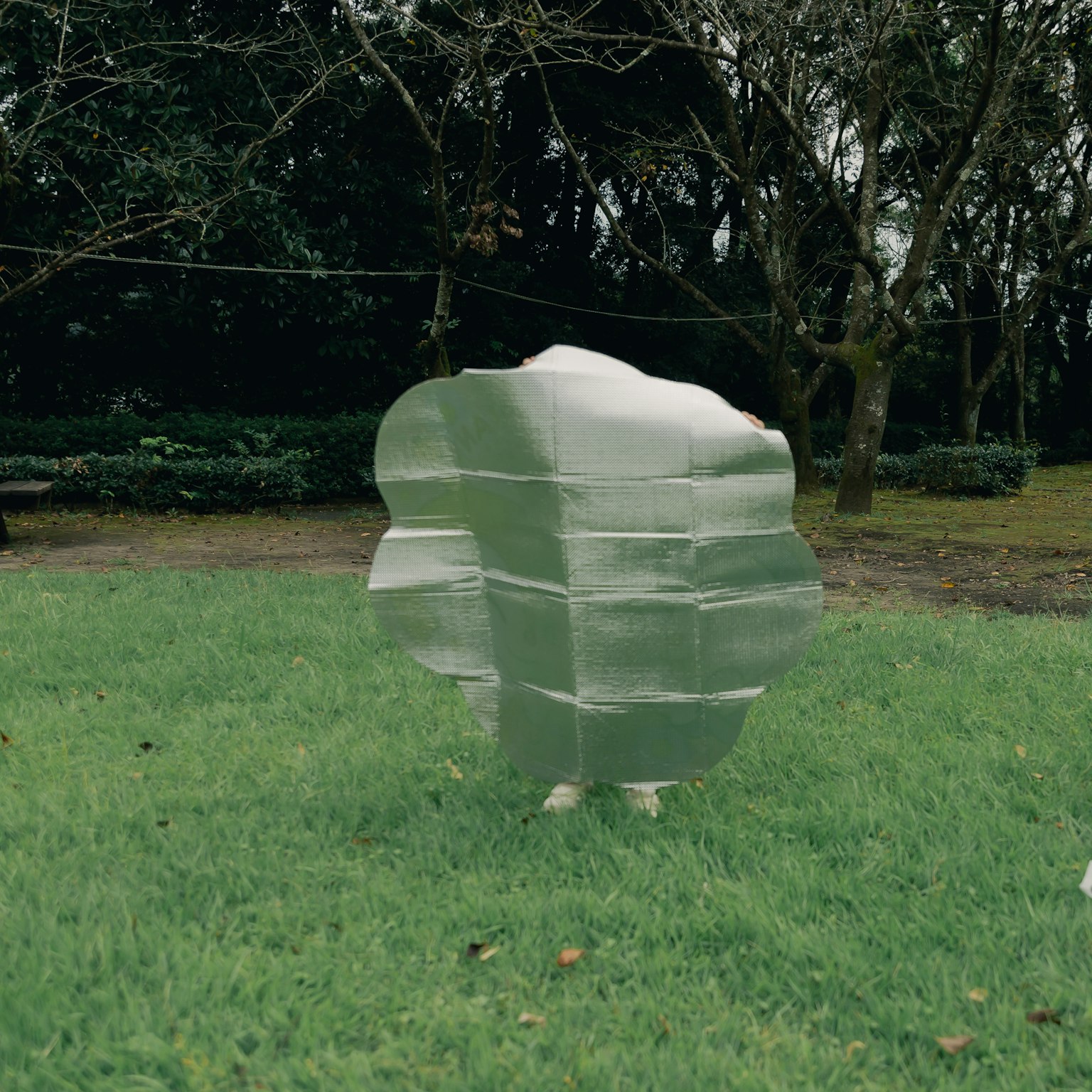 Œuvre d'art transparente sur de l'herbe verte