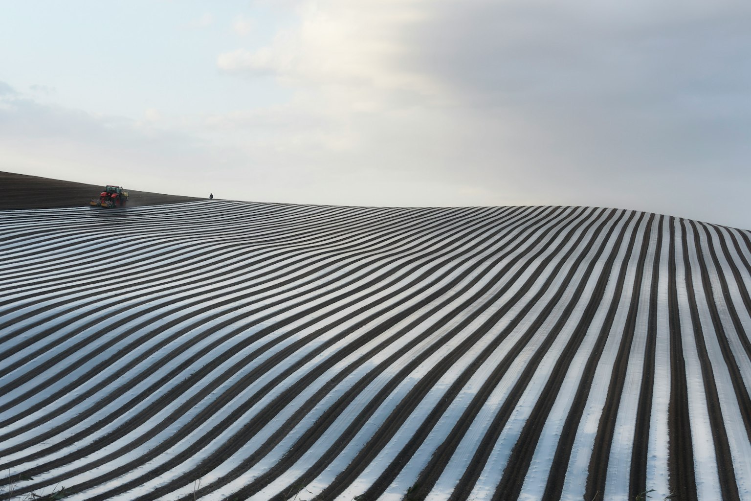 Paisaje agrícola rayado con colinas onduladas y cielo nublado