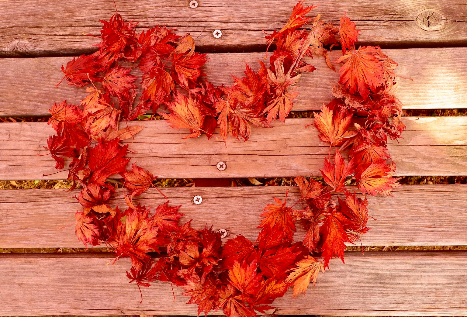 Hojas rojas dispuestas en forma de corazón sobre tablones de madera