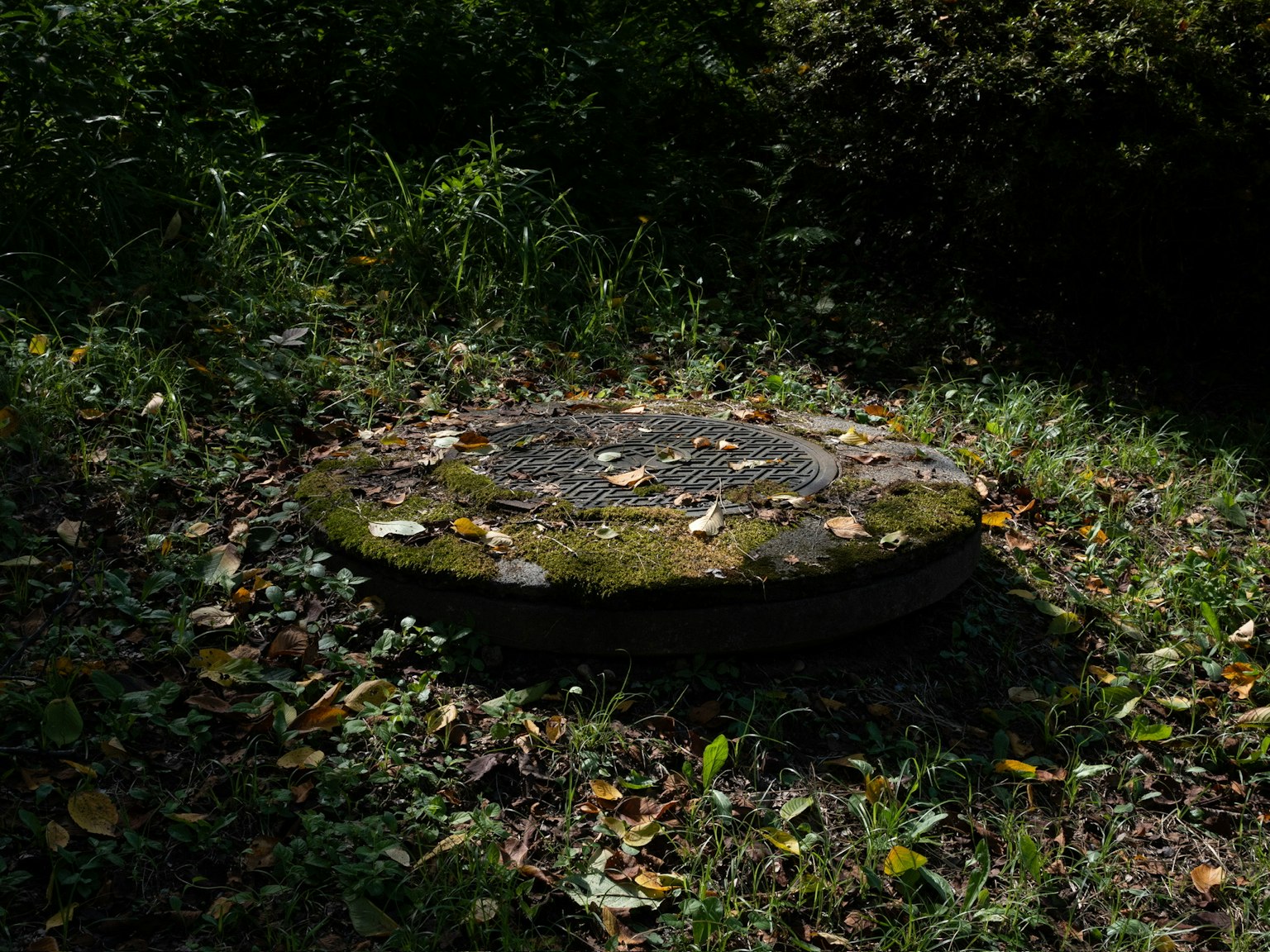 Vecchio coperchio rotondo in pietra circondato da erba verde e foglie sparse