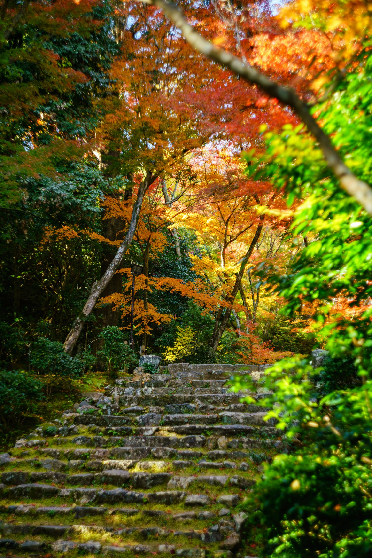 Scale di pietra circondate da fogliame autunnale vibrante