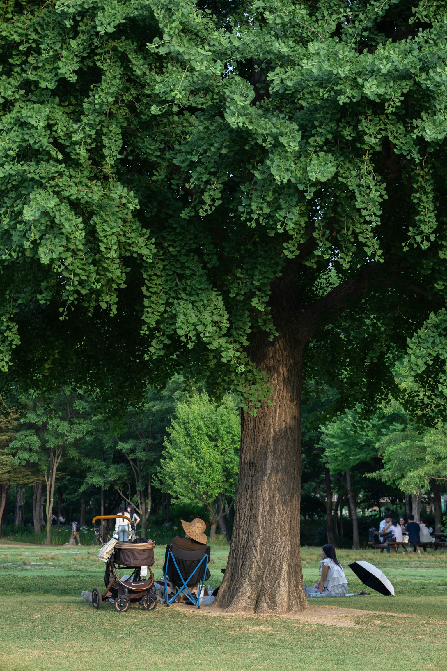 photo-WqZOfycFr8064RV7CPeC-image